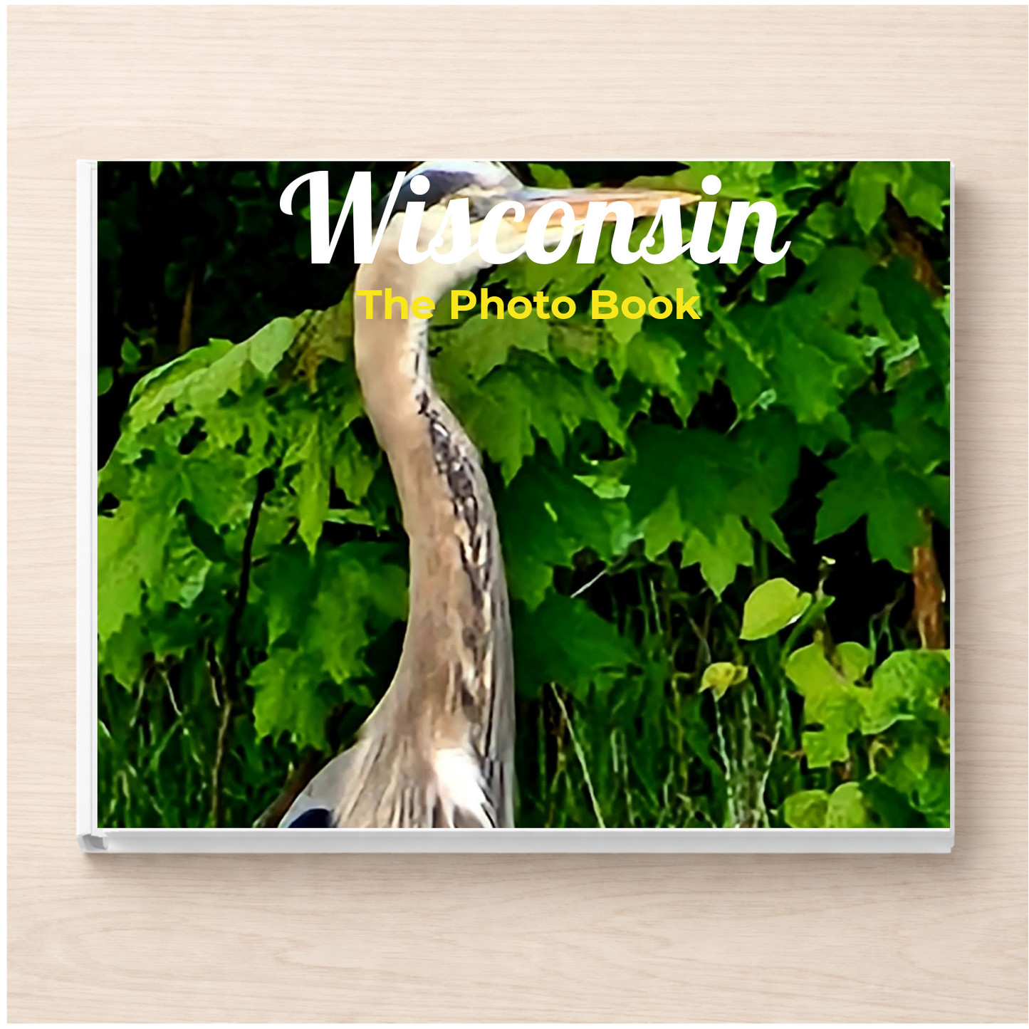 Wisconsin: The Photo Book