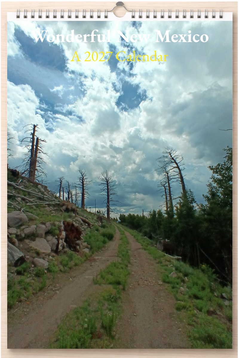 Wonderful New Mexico: A 2027 Calendar