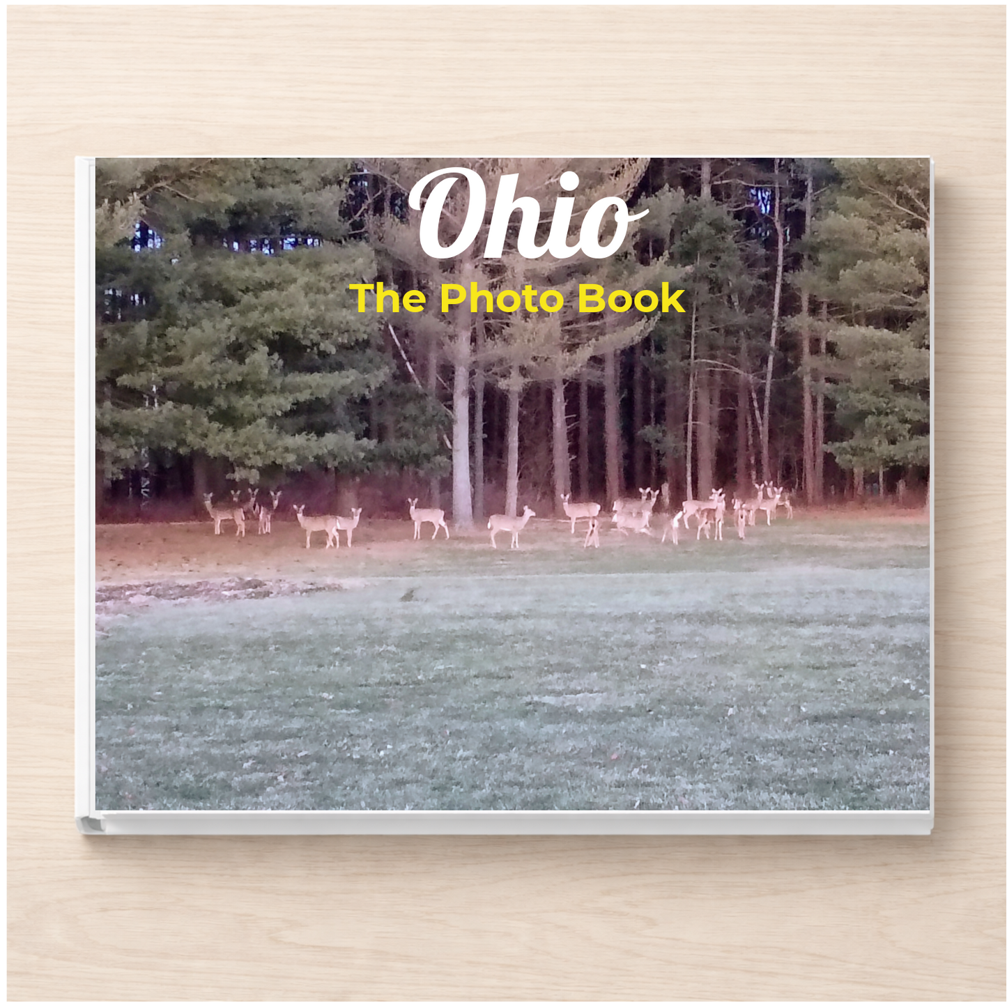 Ohio: The Photo Book