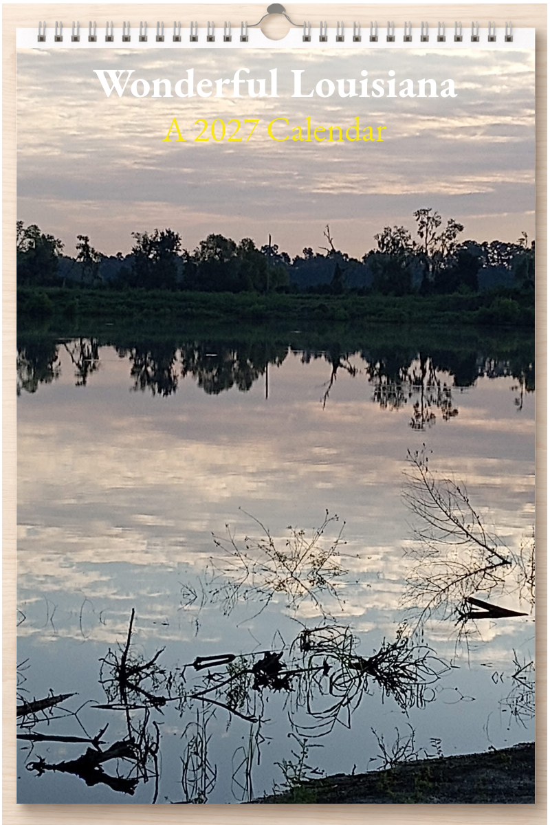Wonderful Louisiana: A 2027 Calendar