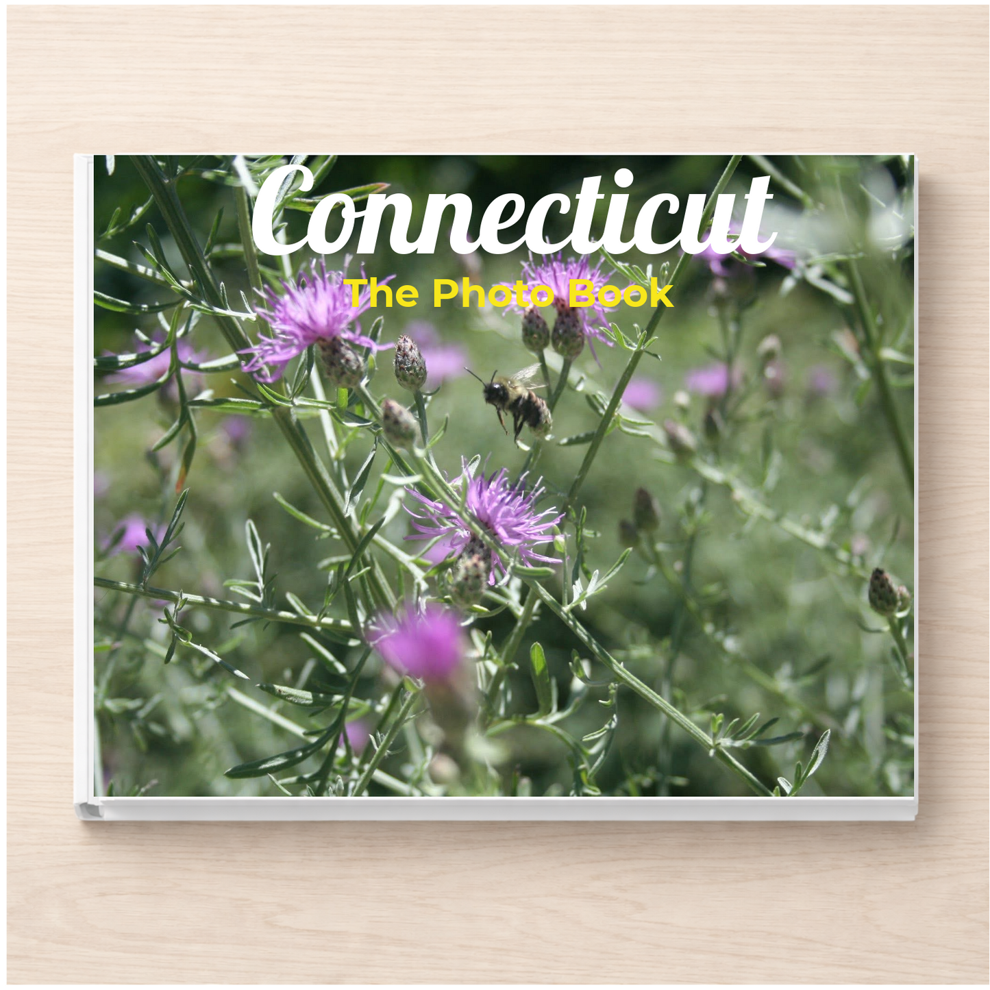 Connecticut: The Photo Book