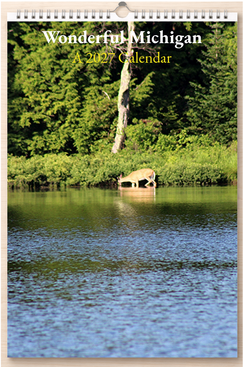 Wonderful Michigan: A 2027 Calendar