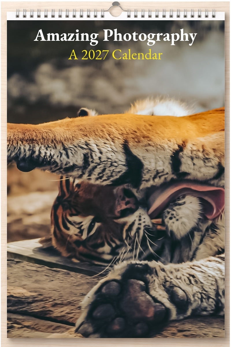 Amazing Photography: A 2027 Calendar