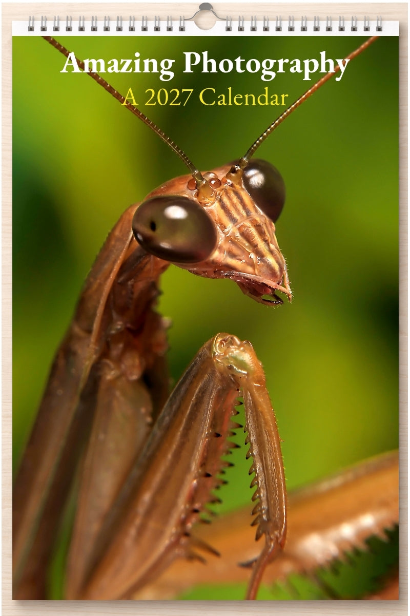 Amazing Photography: A 2027 Calendar