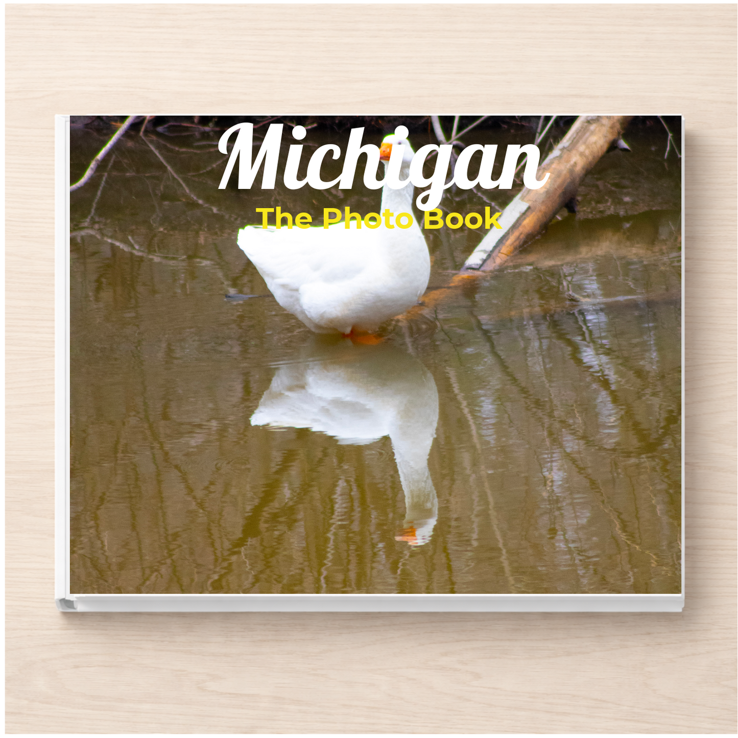 Michigan: The Photo Book