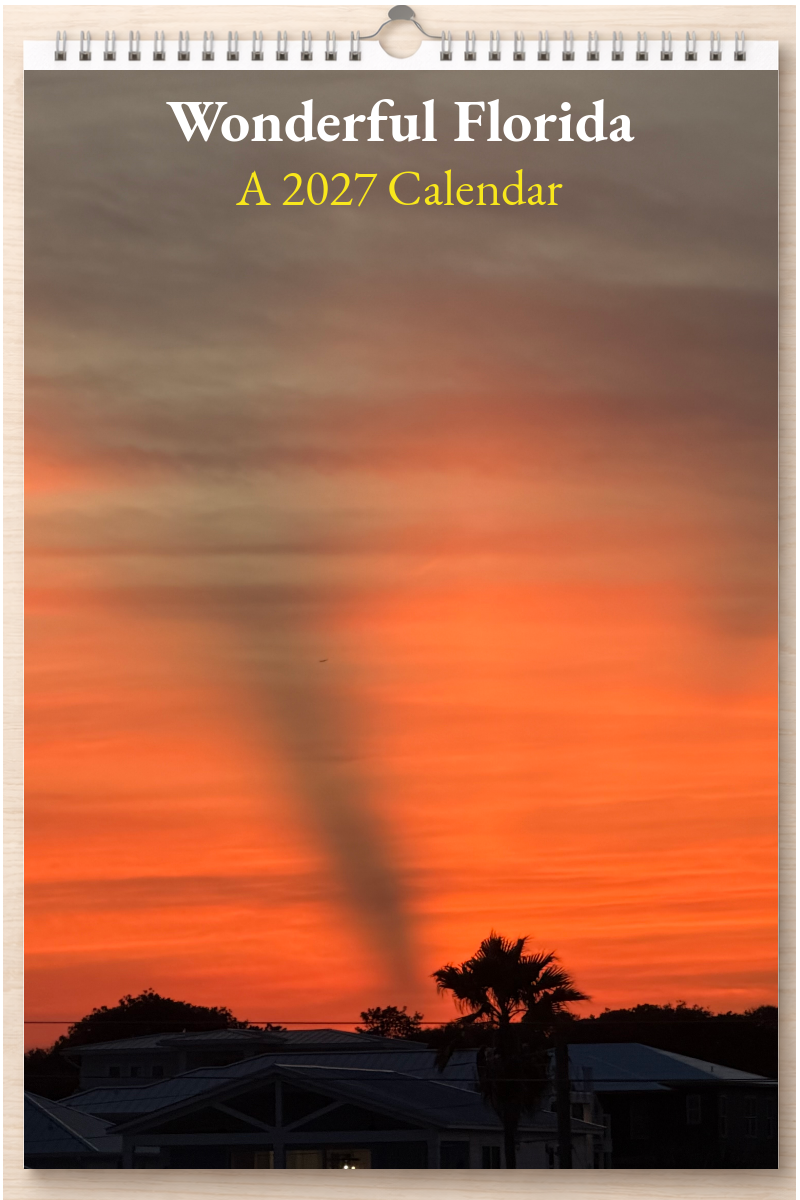 Wonderful Florida: A 2027 Calendar