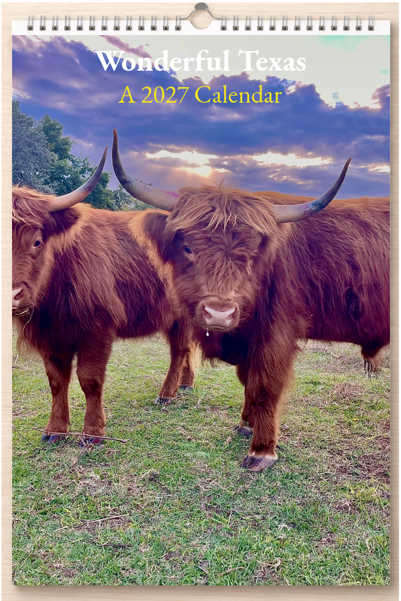 Wonderful Texas: A 2027 Calendar