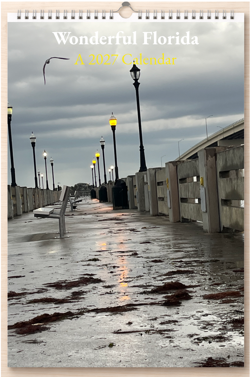 Wonderful Florida: A 2027 Calendar