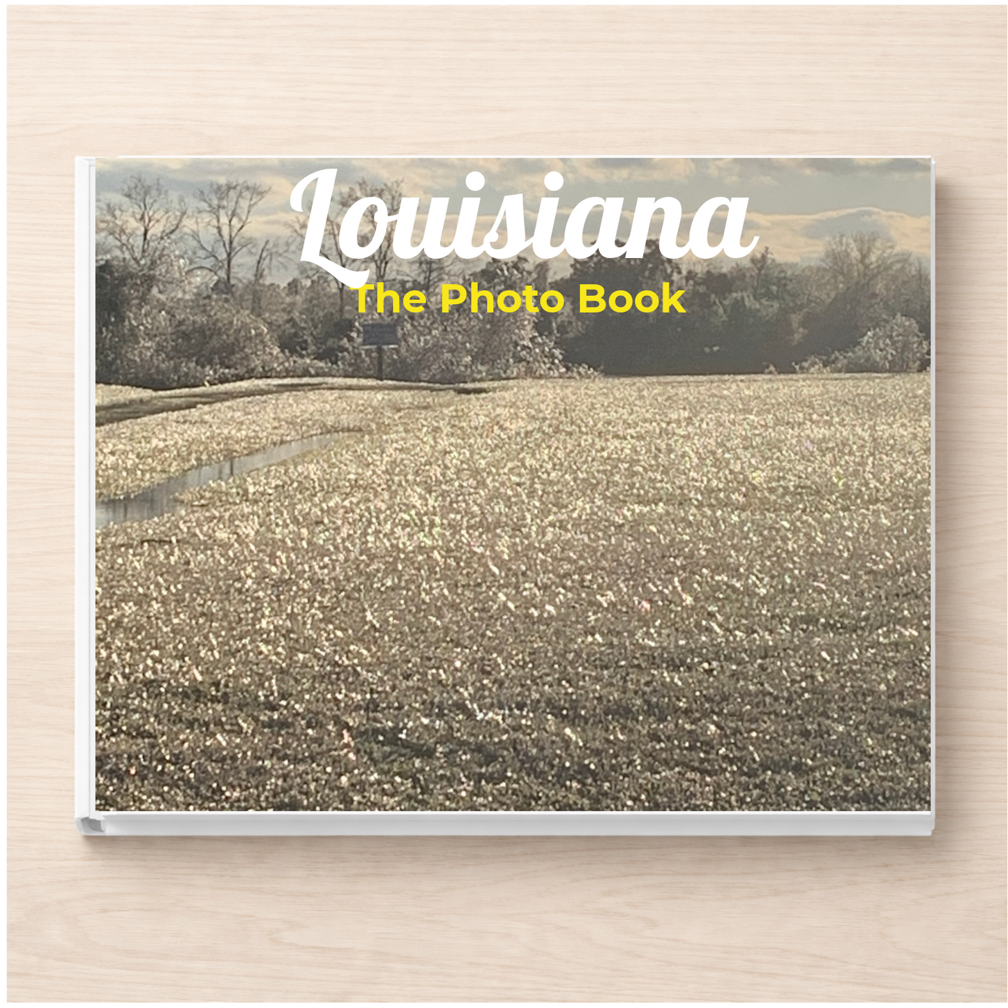 Louisiana: The Photo Book