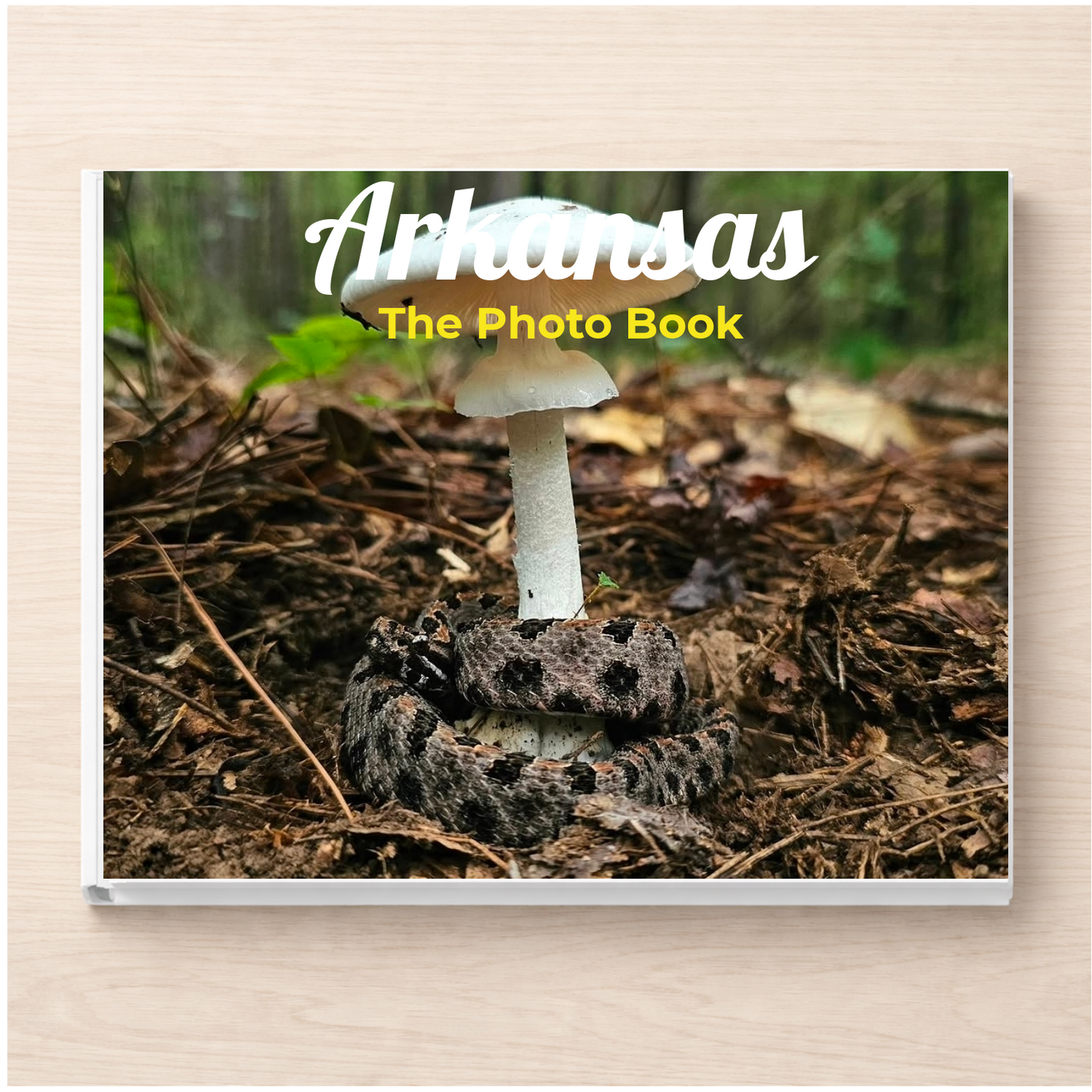 Arkansas: The Photo Book