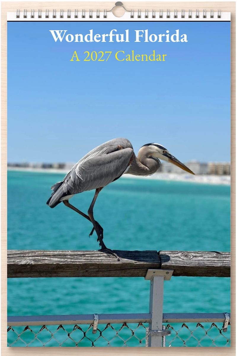 Wonderful Florida: A 2027 Calendar