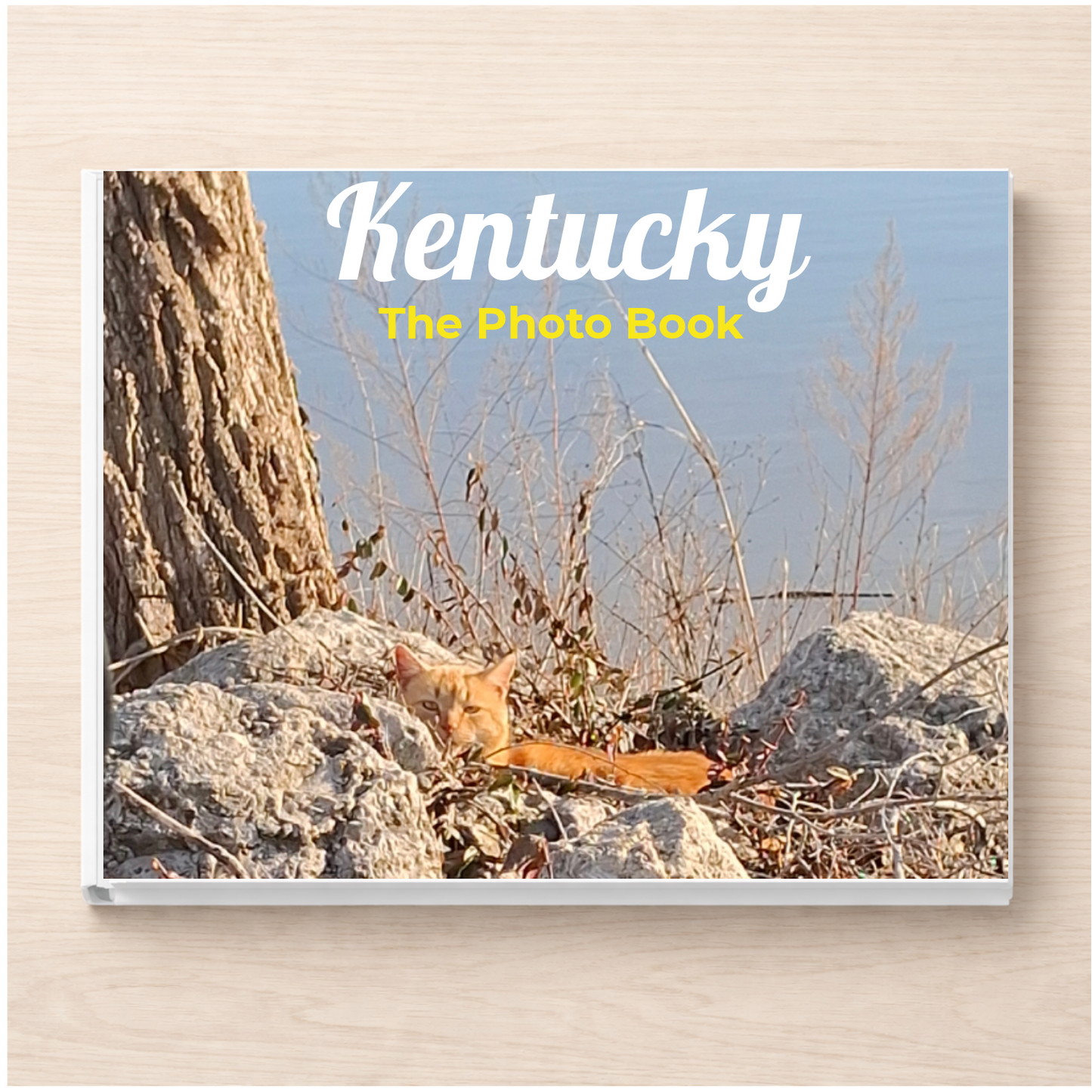 Kentucky: The Photo Book