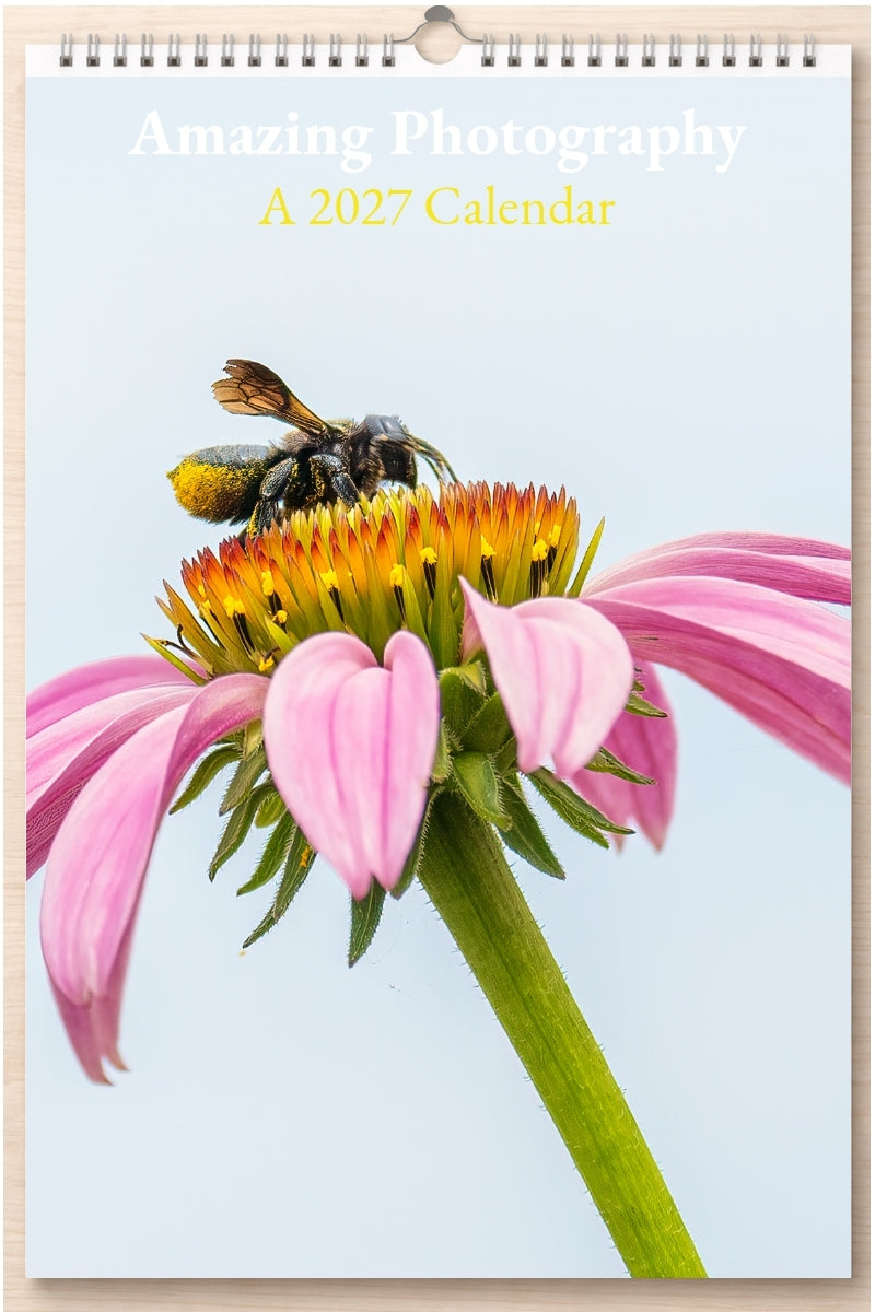 Amazing Photography: A 2027 Calendar