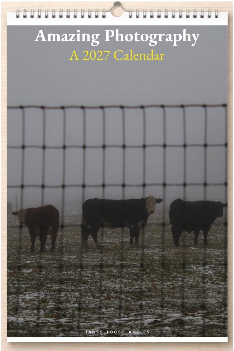 Amazing Photography: A 2027 Calendar