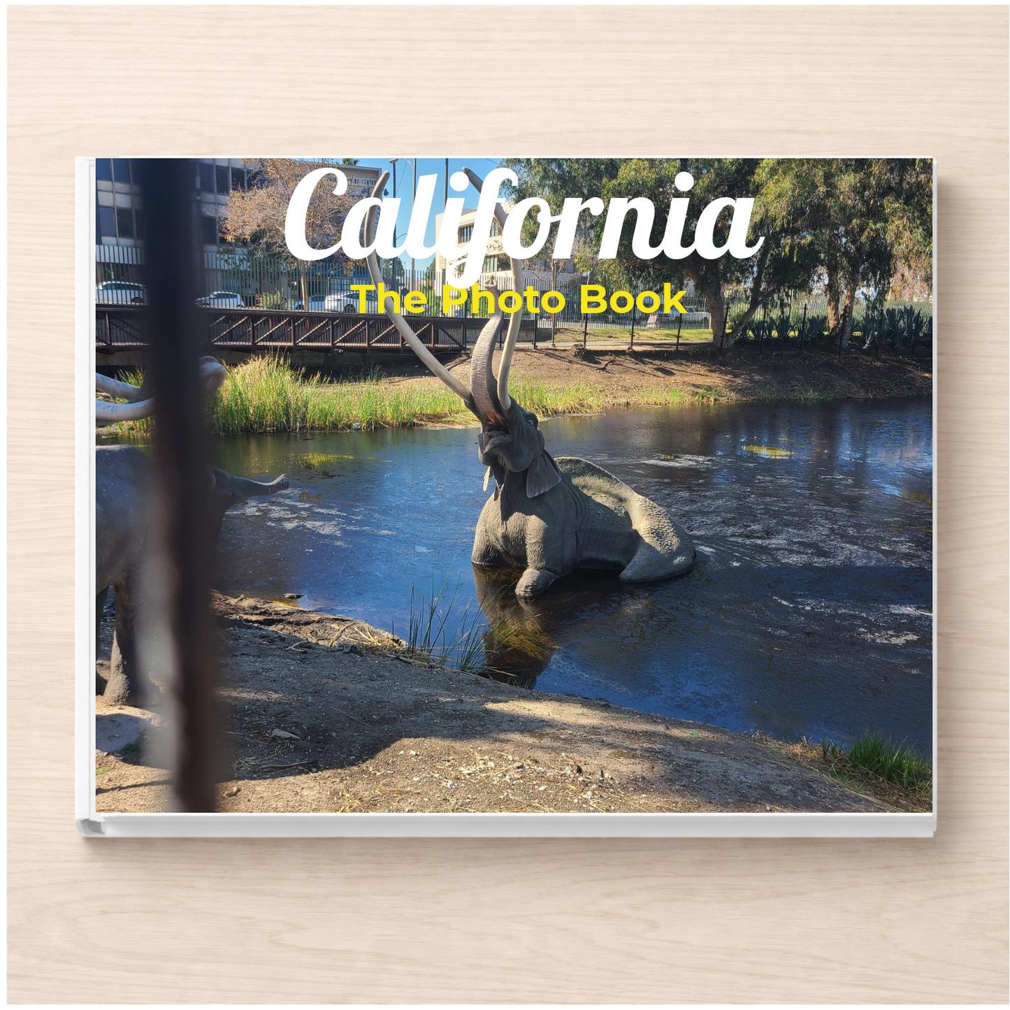 California: The Photo Book
