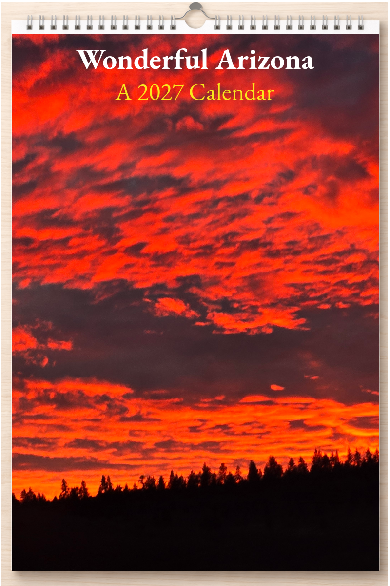 Wonderful Arizona: A 2027 Calendar