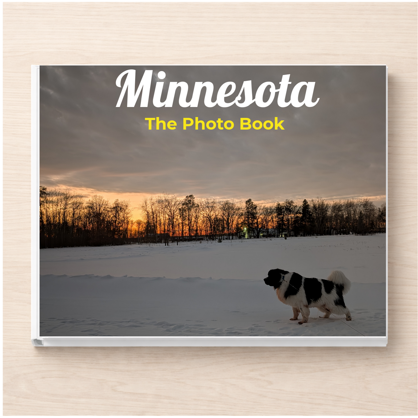 Minnesota: The Photo Book