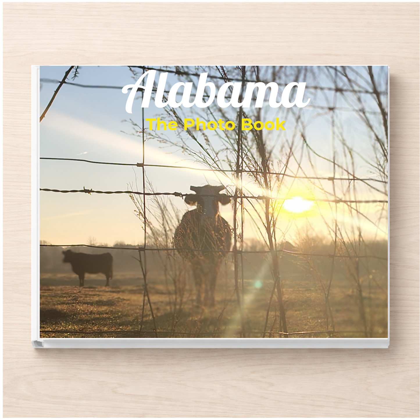 Alabama: The Photo Book