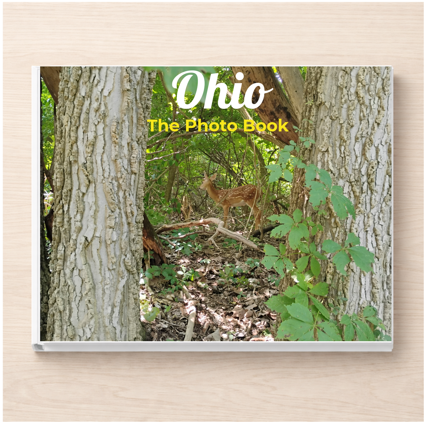 Ohio: The Photo Book