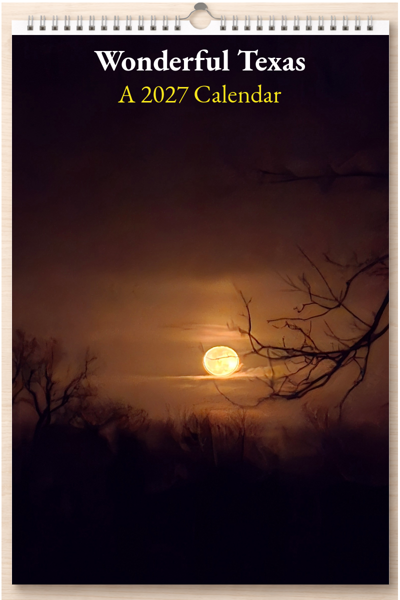 Wonderful Texas: A 2027 Calendar