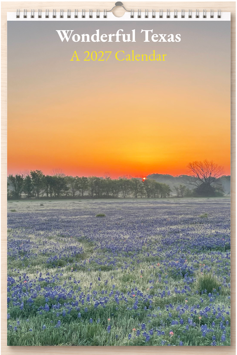 Wonderful Texas: A 2027 Calendar