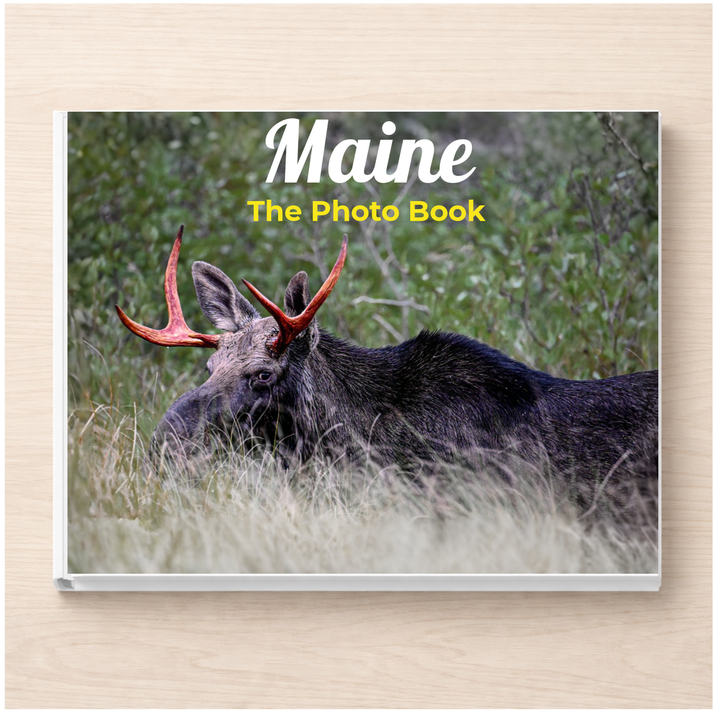 Maine: The Photo Book