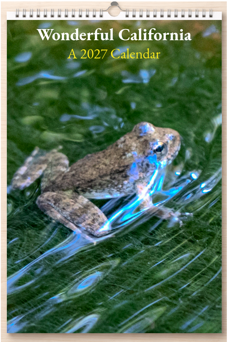 Wonderful California: A 2027 Calendar