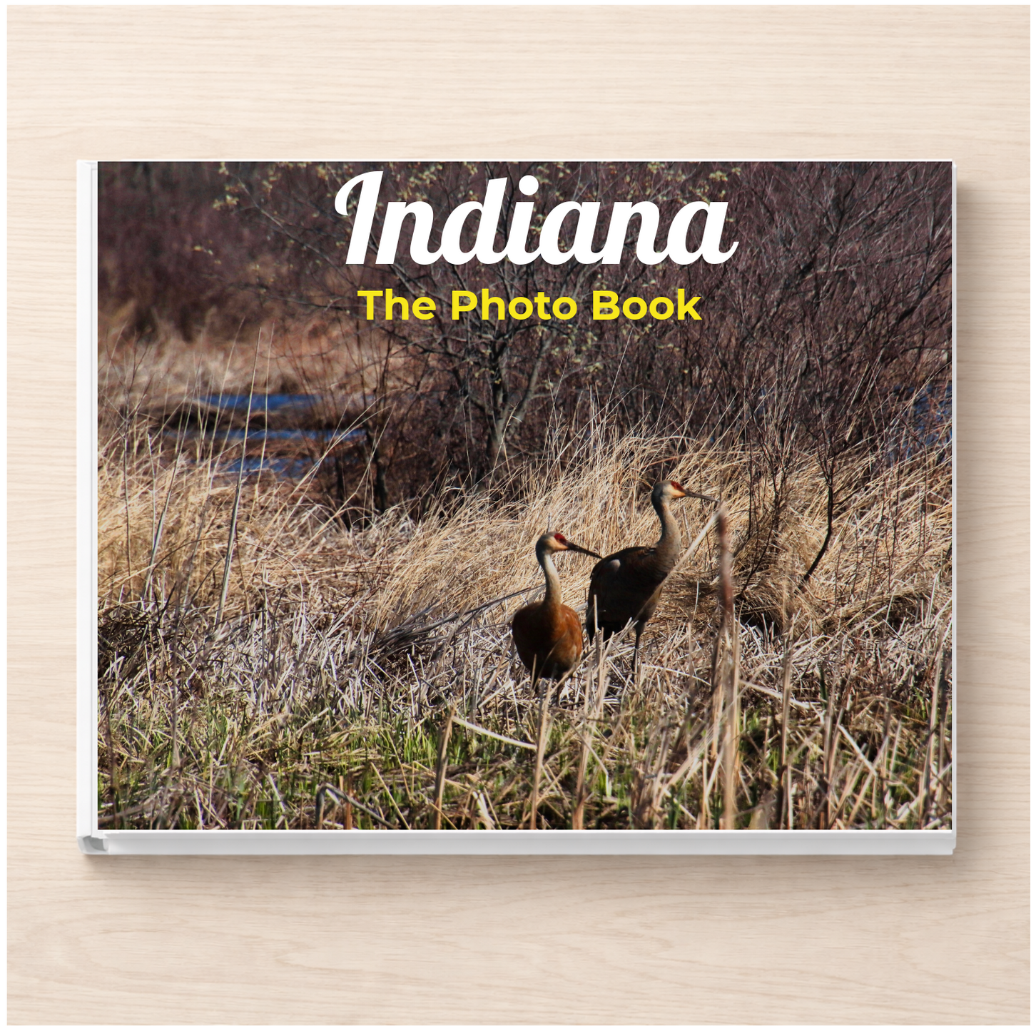 Indiana: The Photo Book