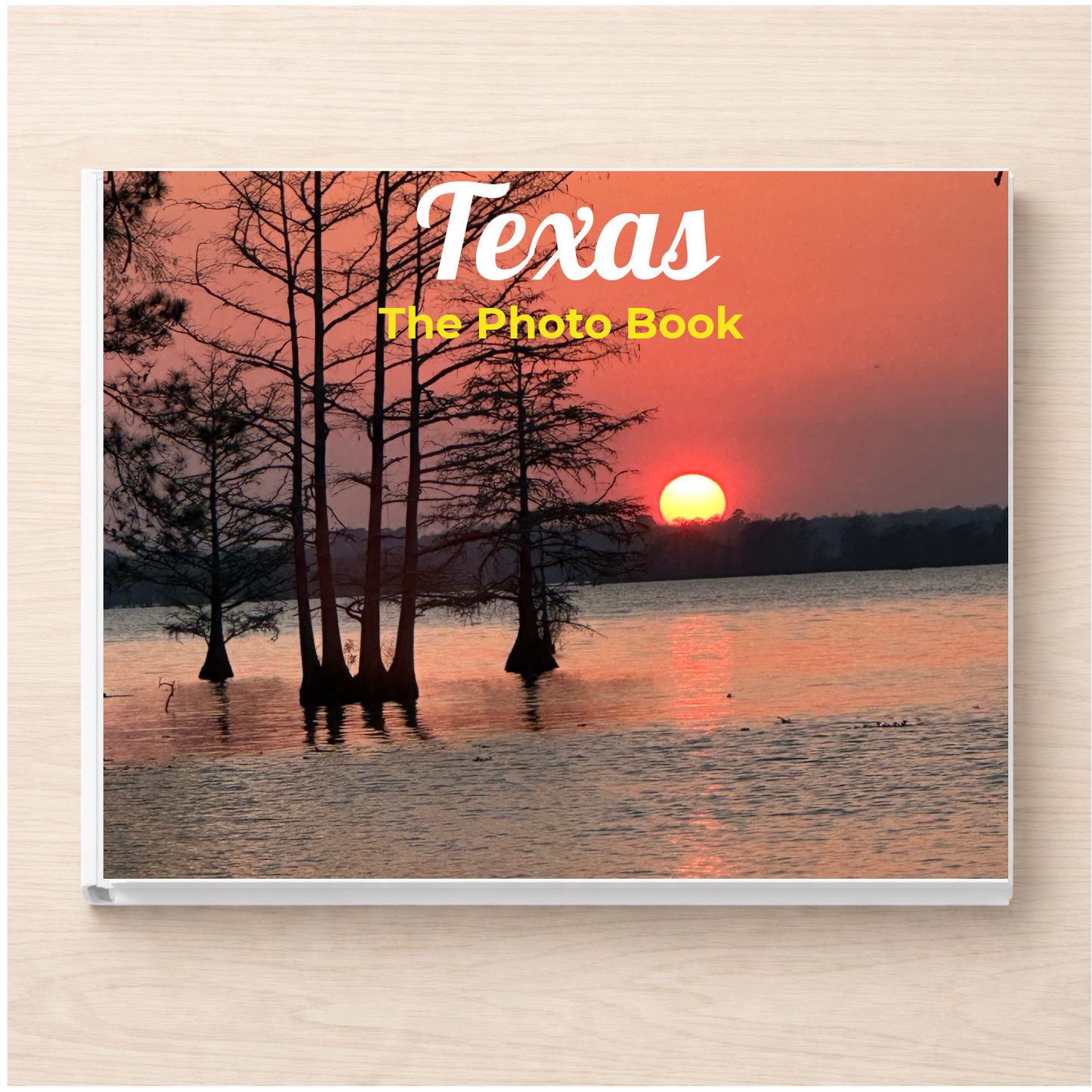 Texas: The Photo Book
