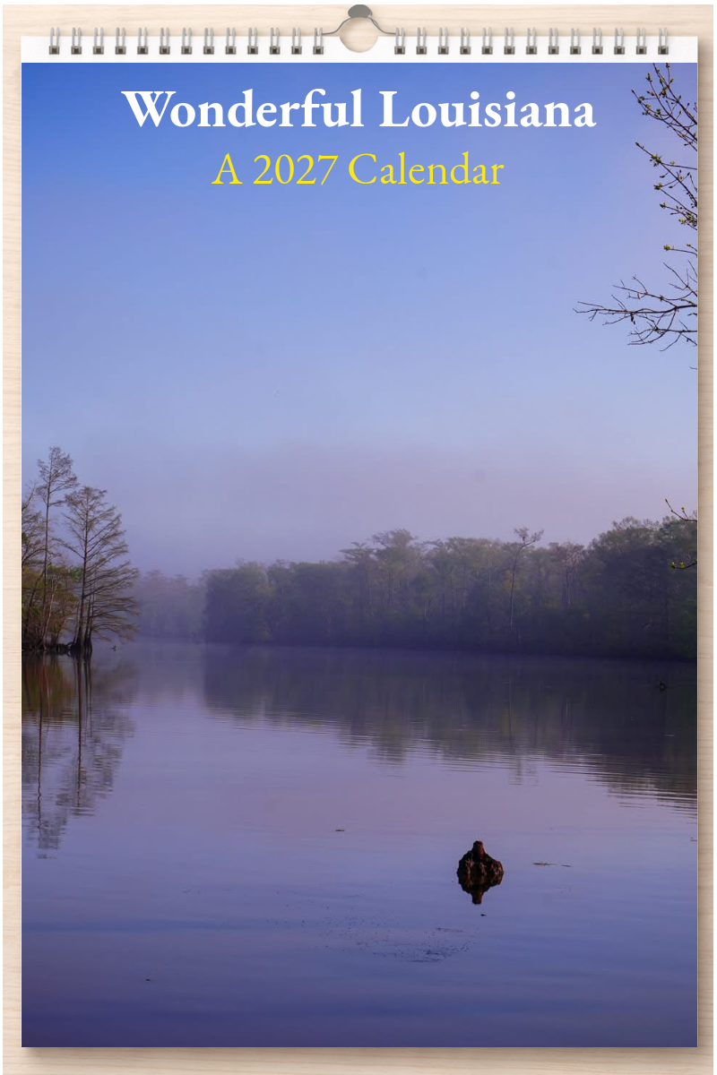 Wonderful Louisiana: A 2027 Calendar
