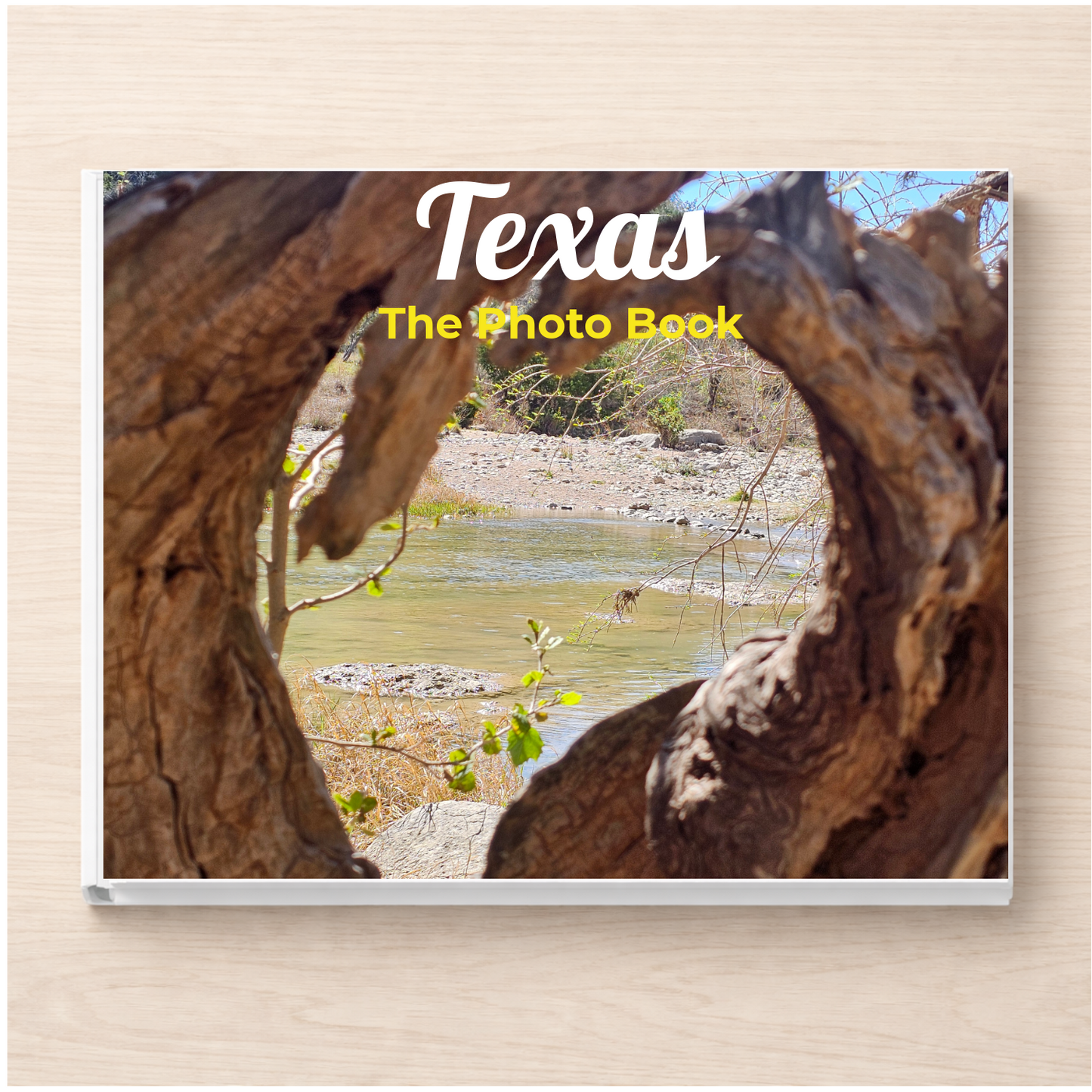 Texas: The Photo Book