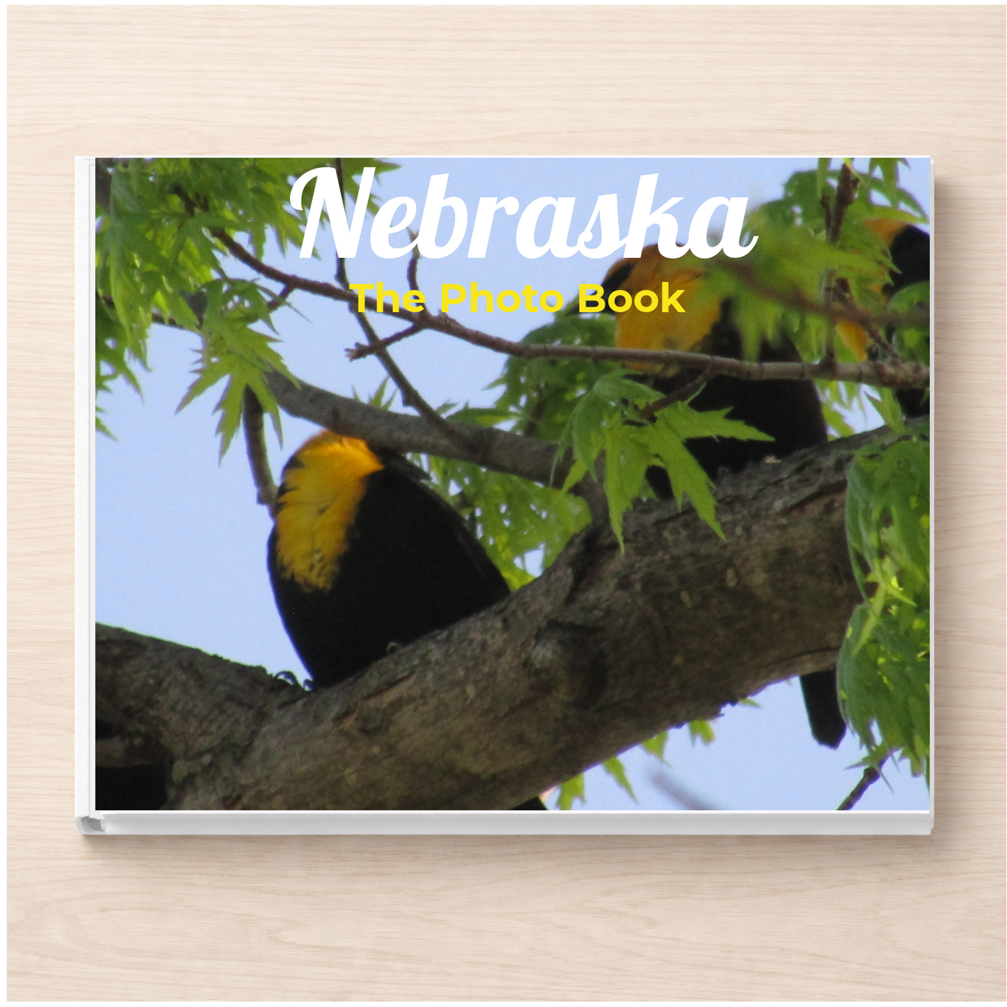 Nebraska: The Photo Book