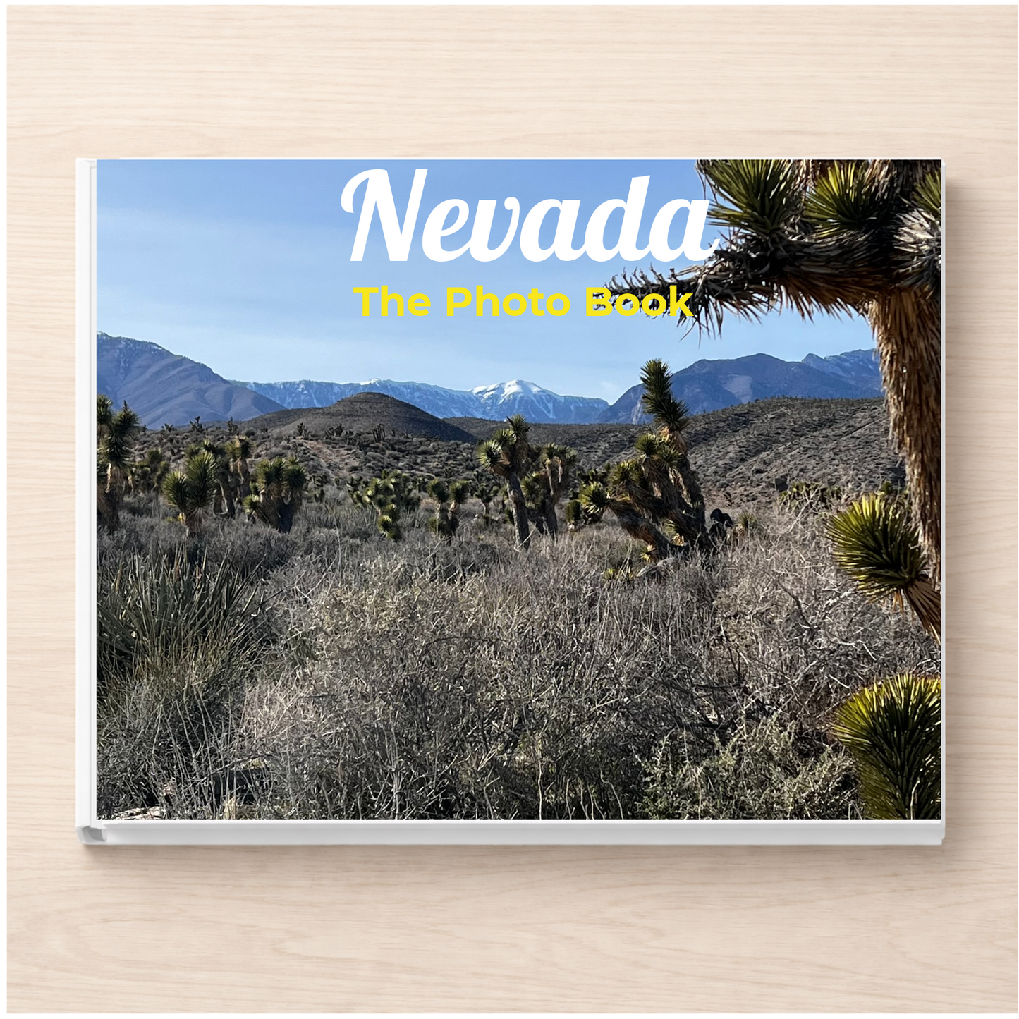 Nevada: The Photo Book