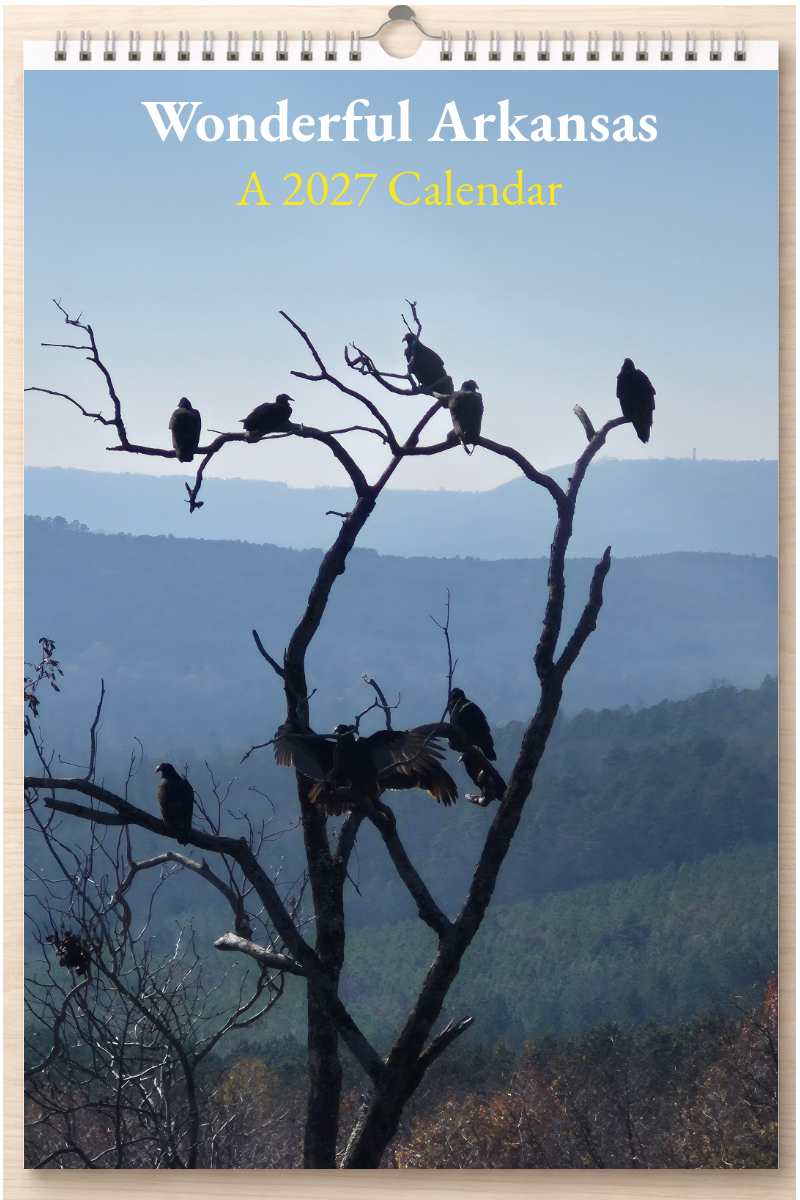 Wonderful Arkansas: A 2027 Calendar