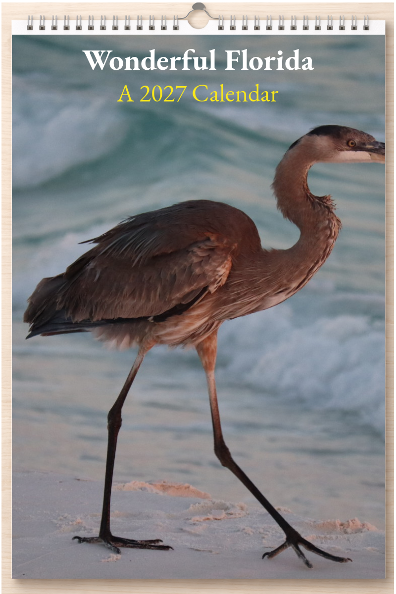 Wonderful Florida: A 2027 Calendar