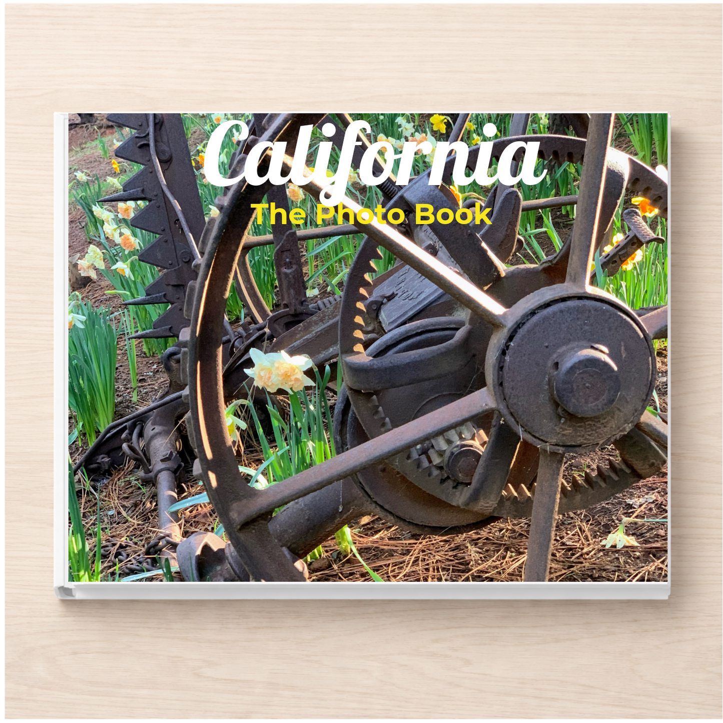 California: The Photo Book
