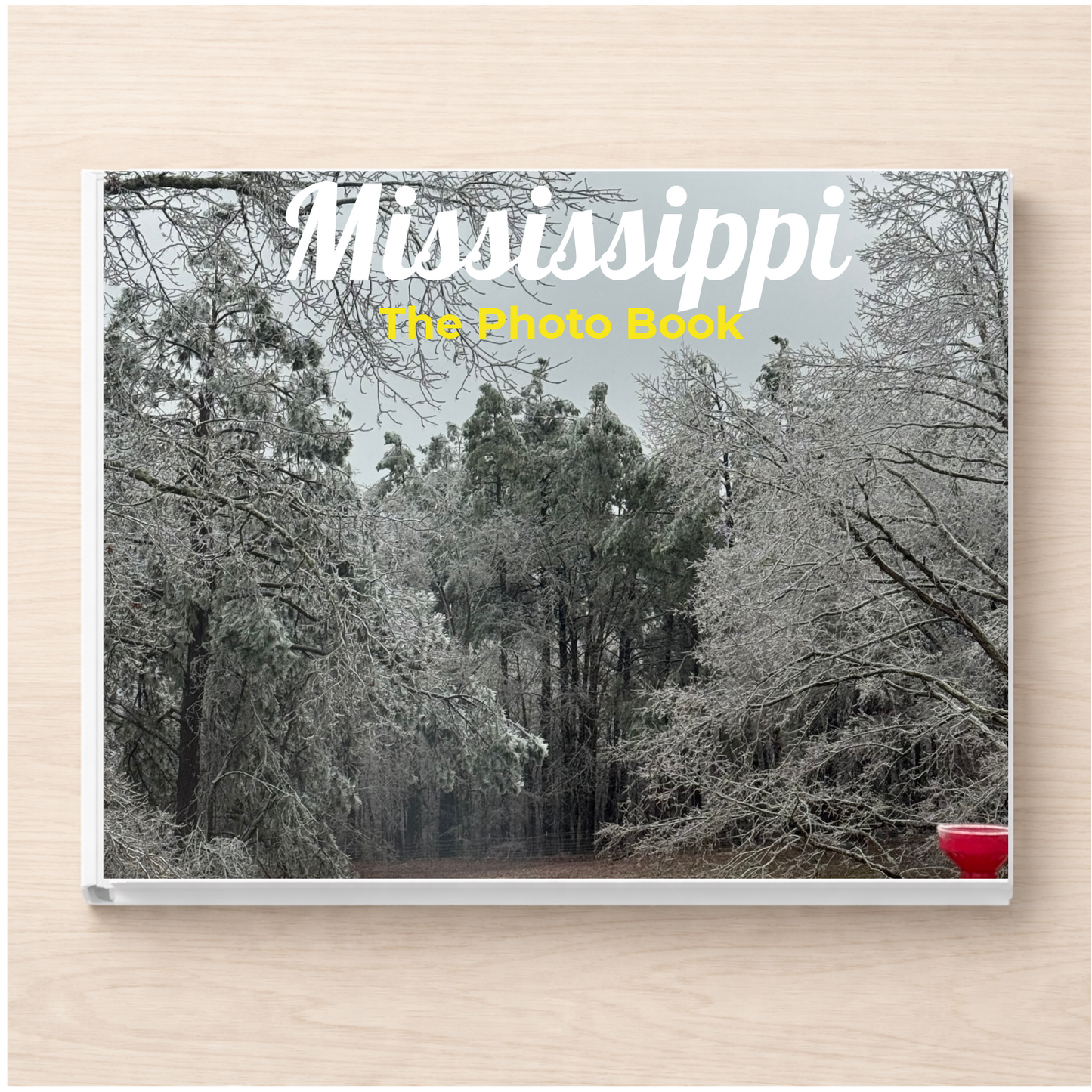 Mississippi: The Photo Book