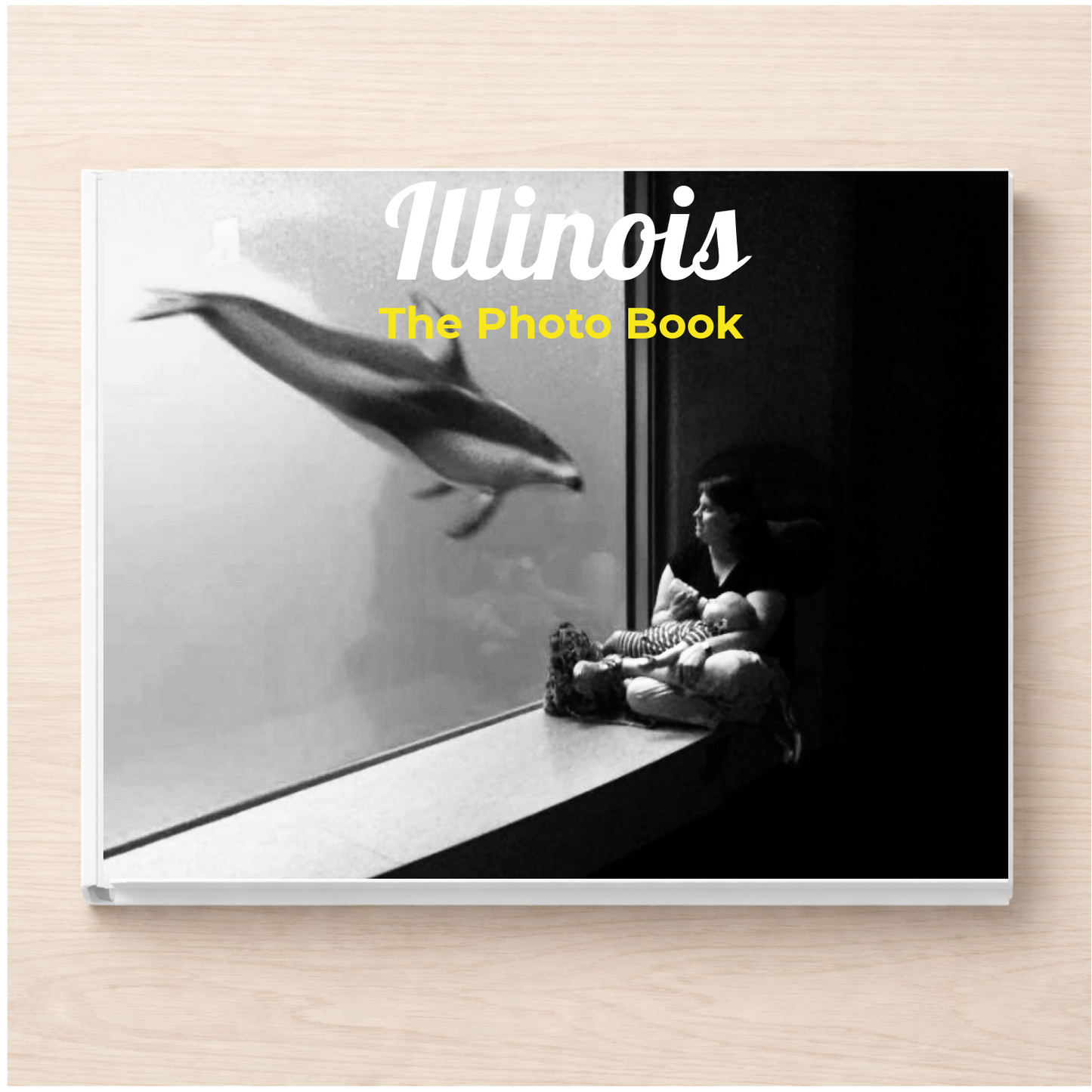 Illinois: The Photo Book