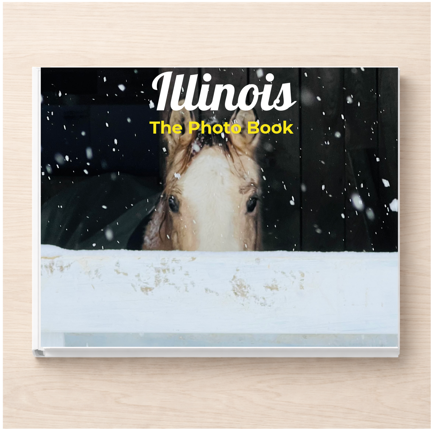 Illinois: The Photo Book