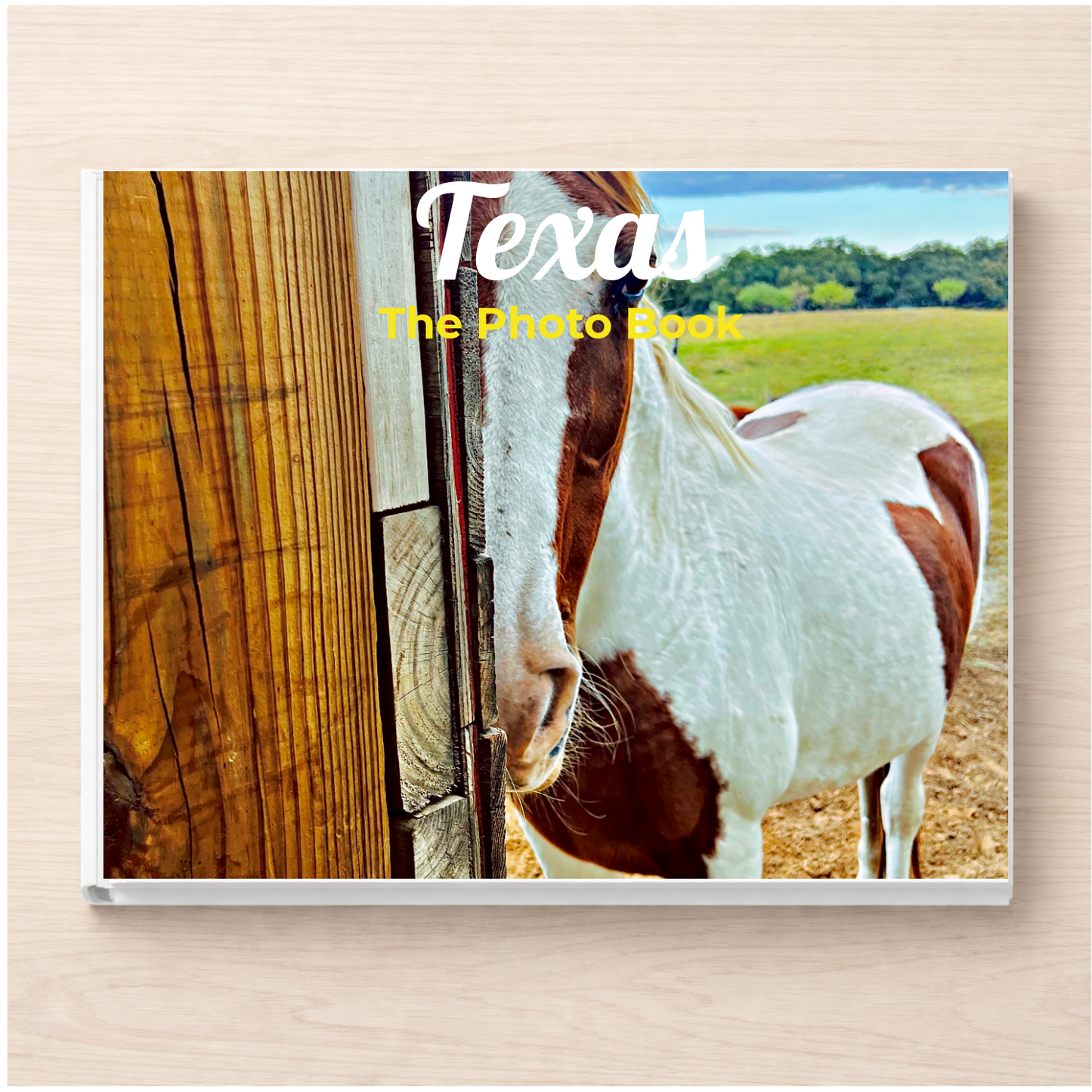 Texas: The Photo Book