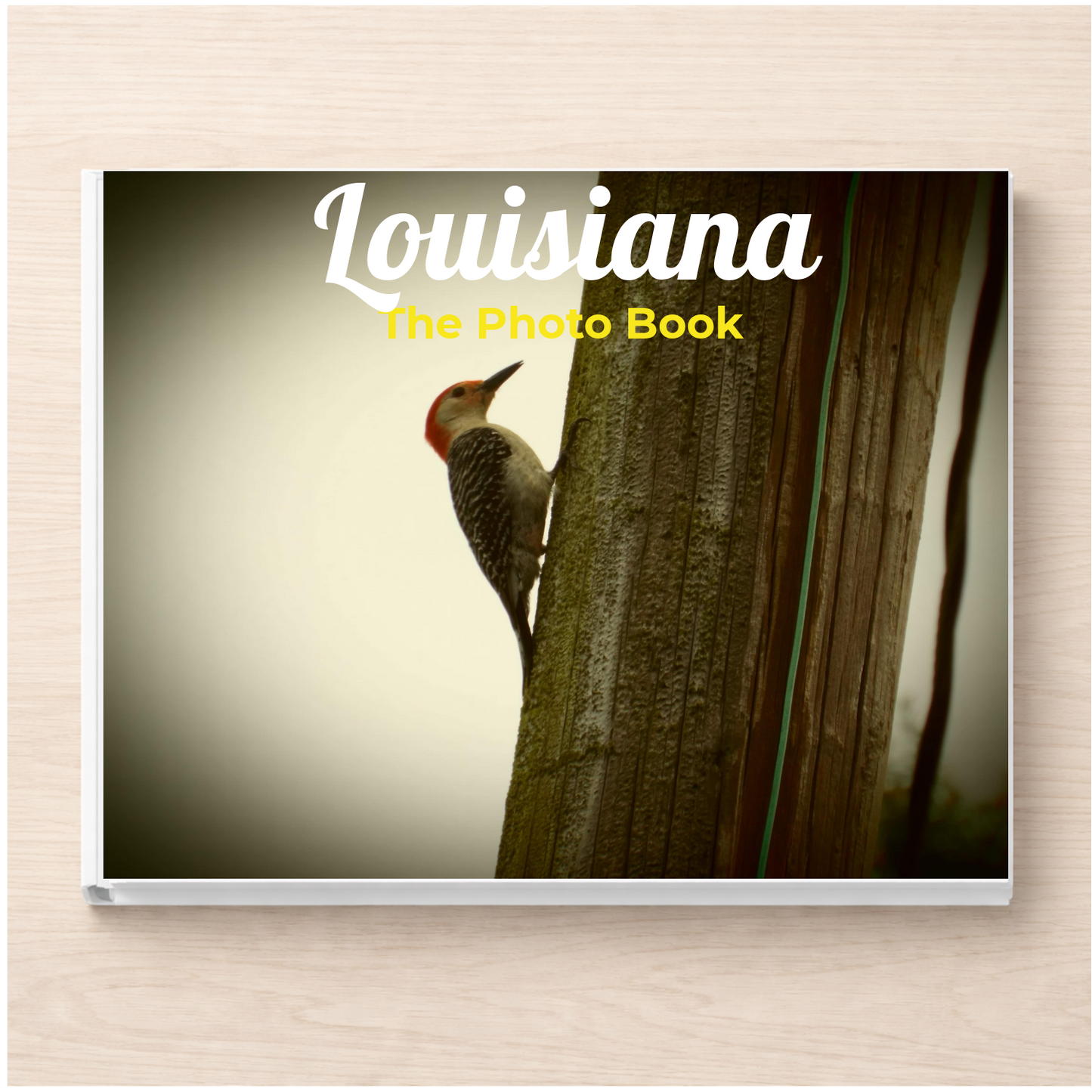 Louisiana: The Photo Book
