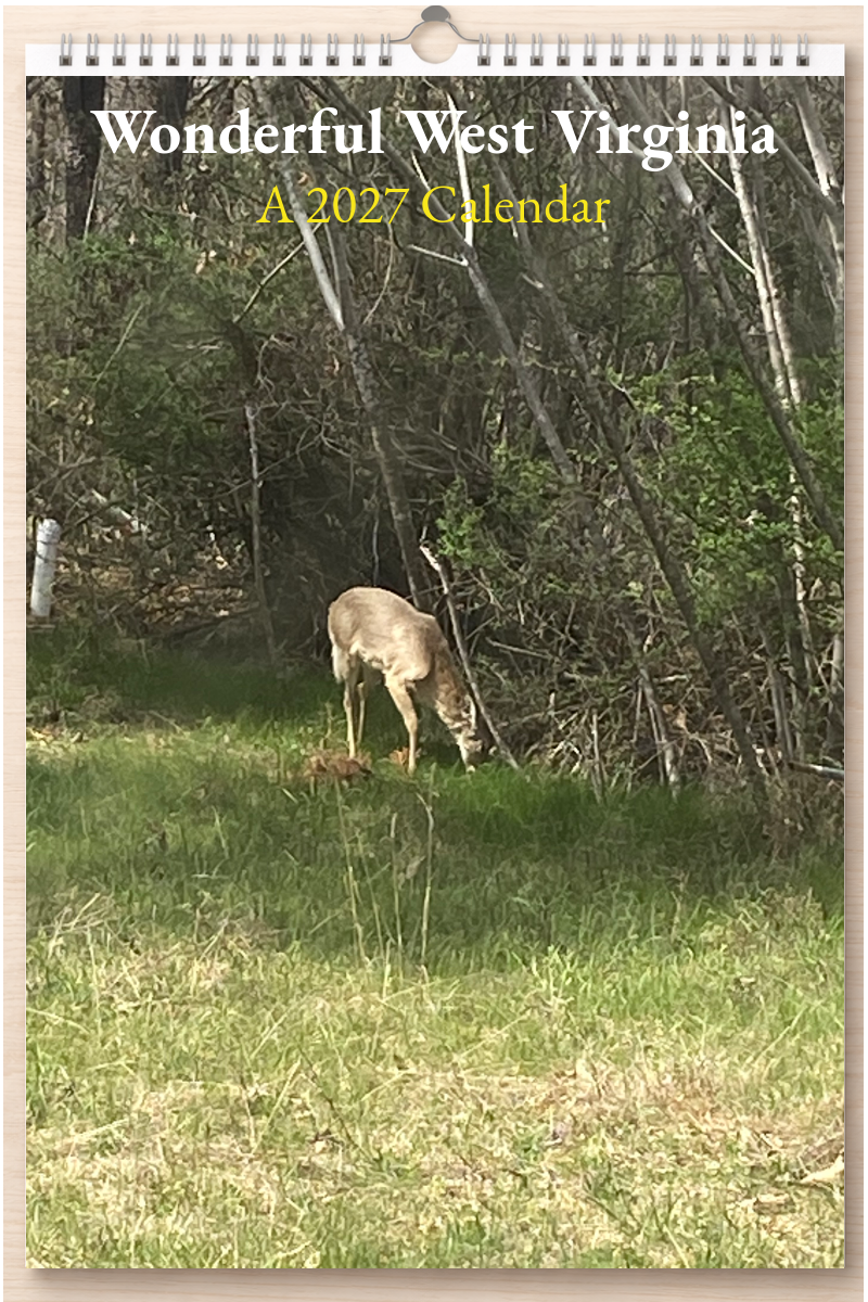 Wonderful West Virginia: A 2027 Calendar