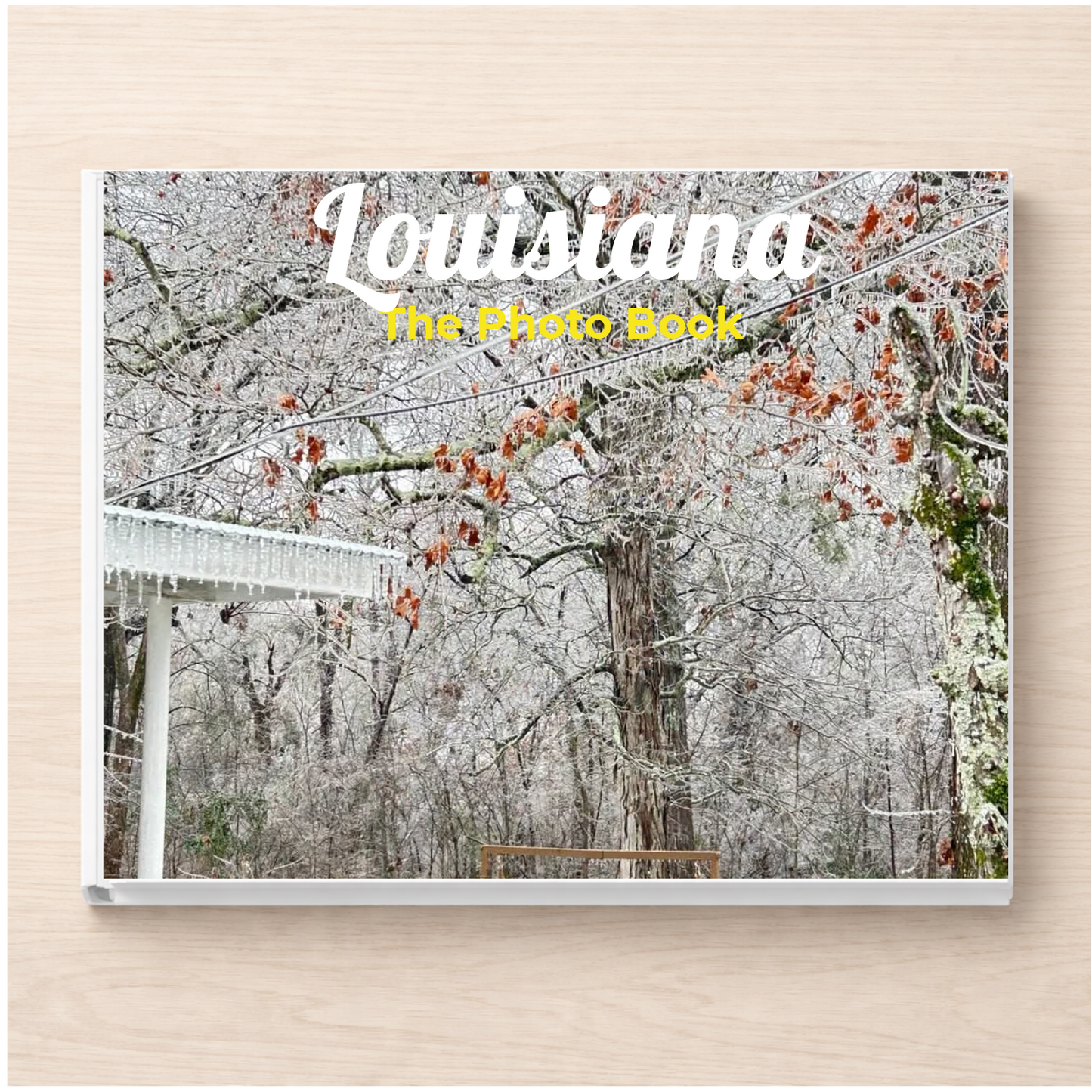 Louisiana: The Photo Book