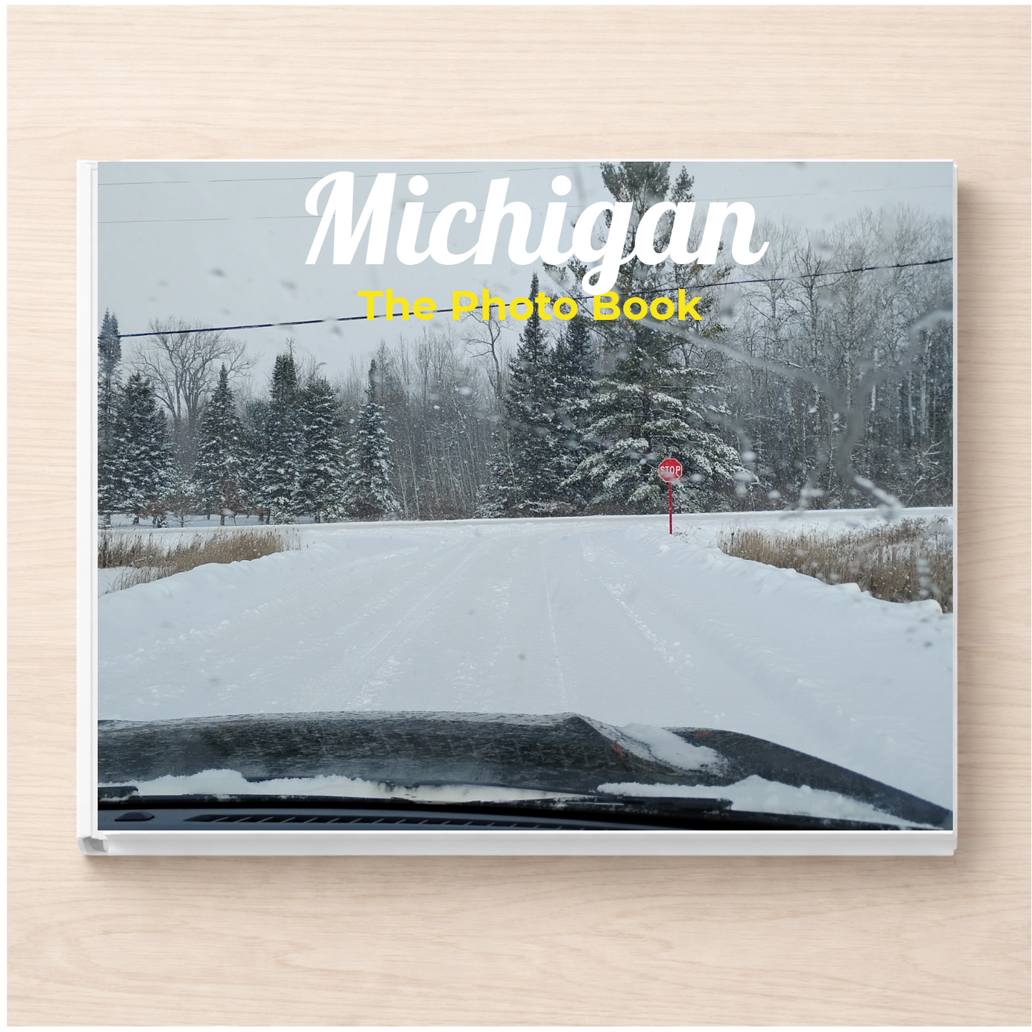 Michigan: The Photo Book