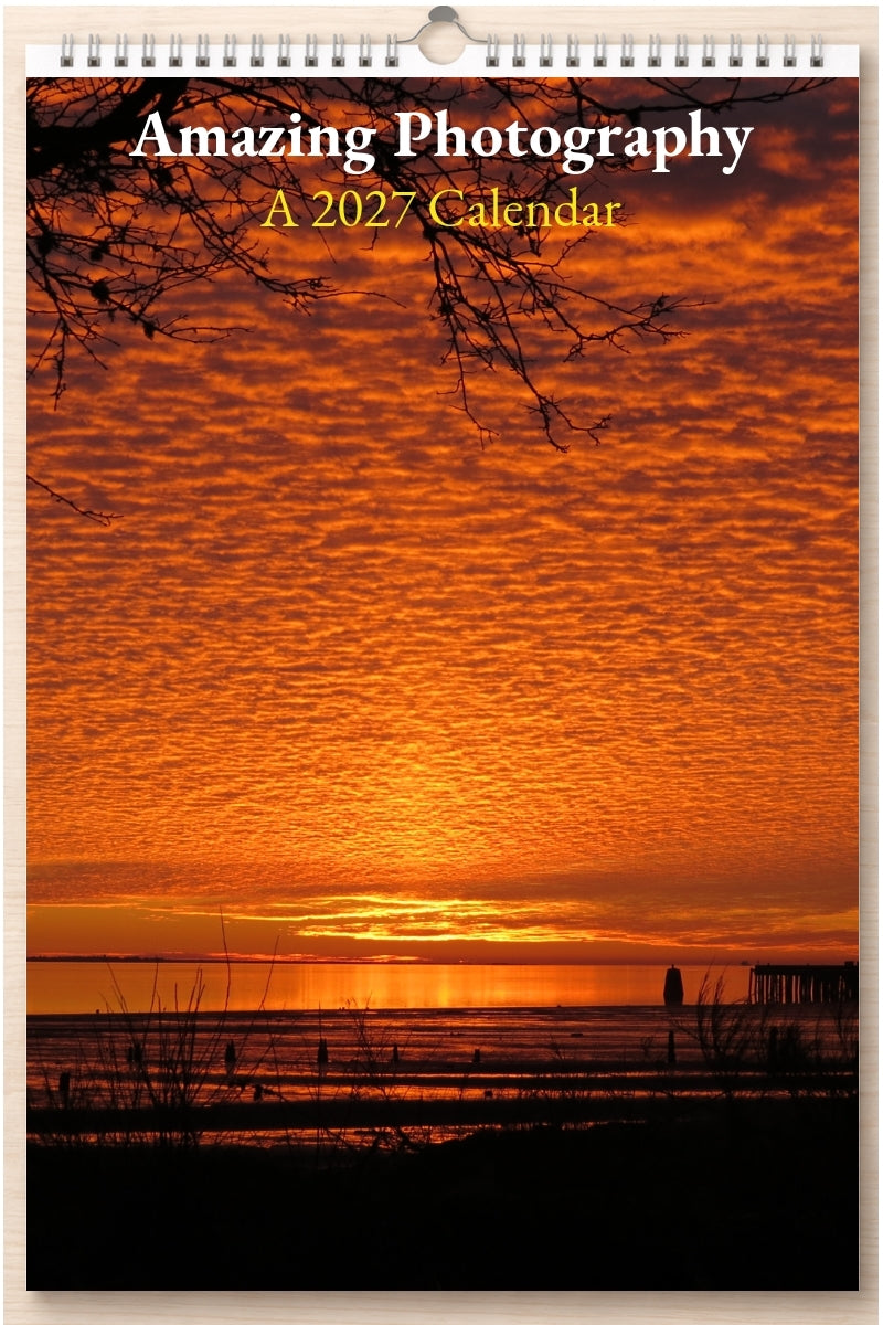 Amazing Photography: A 2027 Calendar