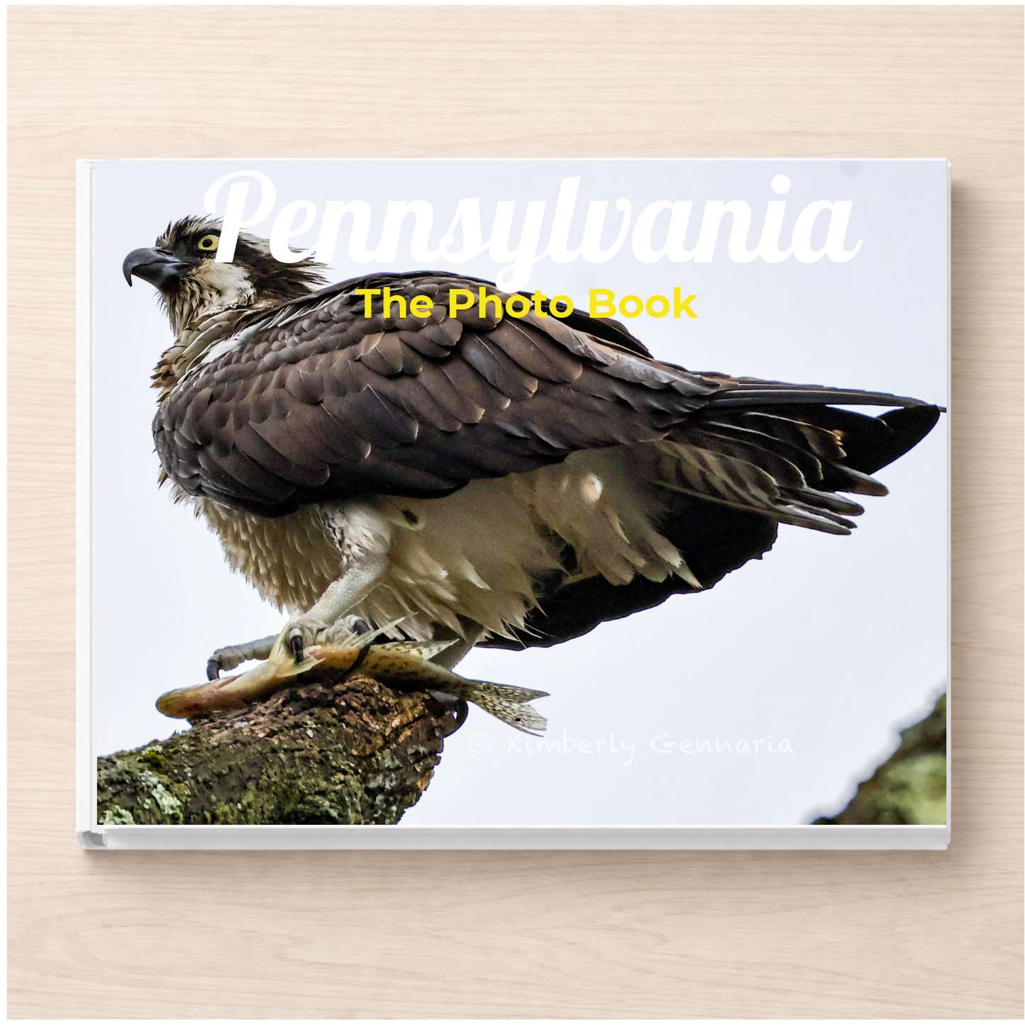 Pennsylvania: The Photo Book