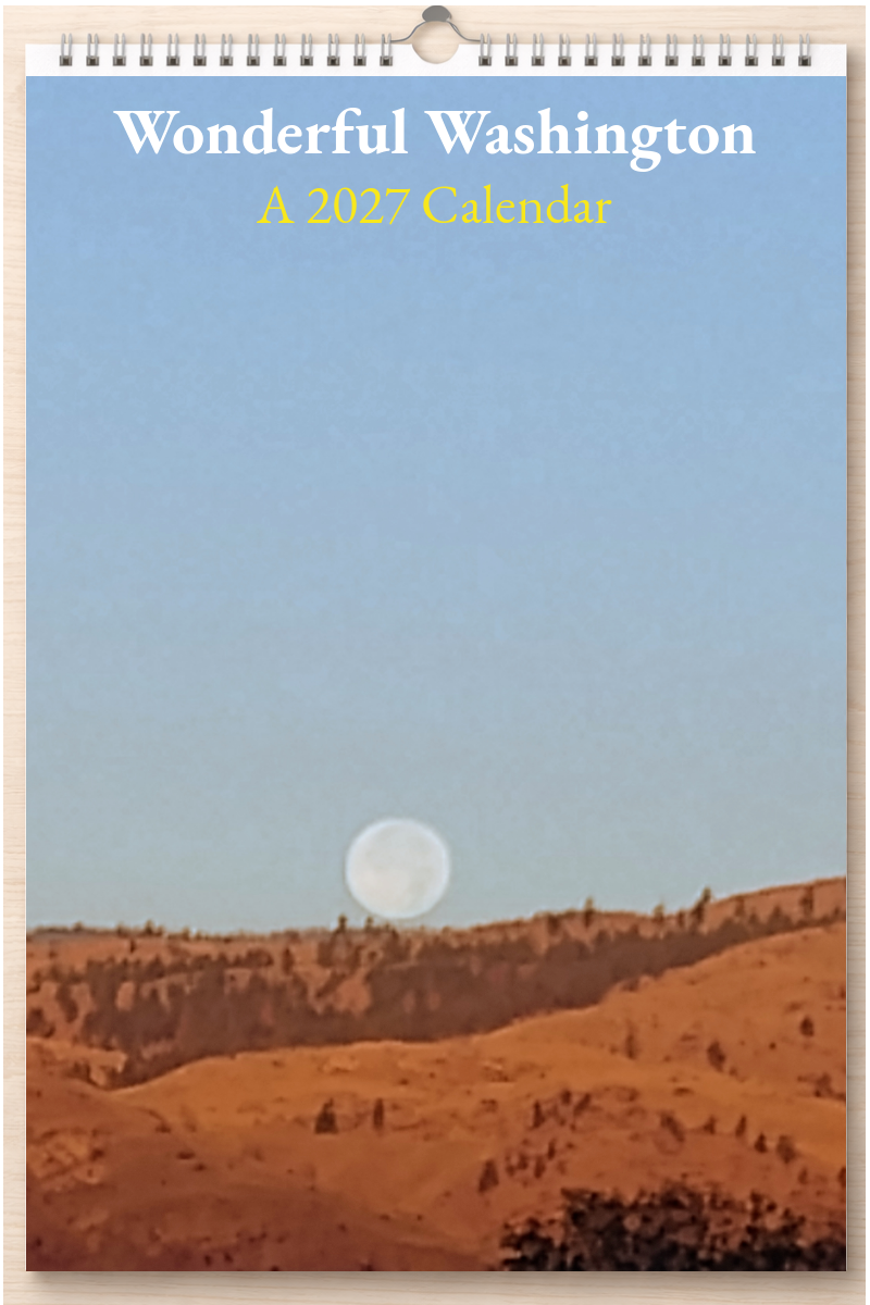 Wonderful Washington: A 2027 Calendar