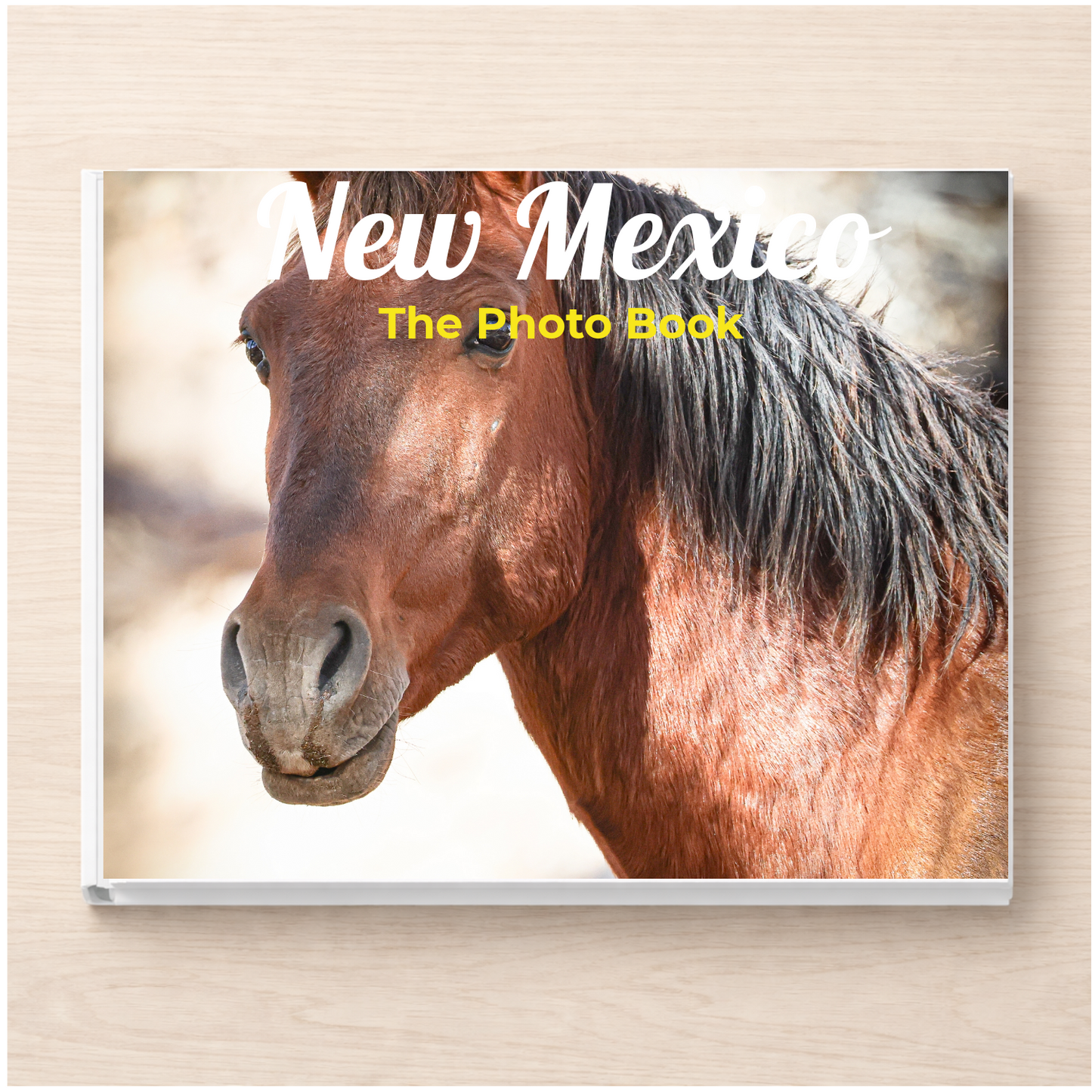 New Mexico: The Photo Book