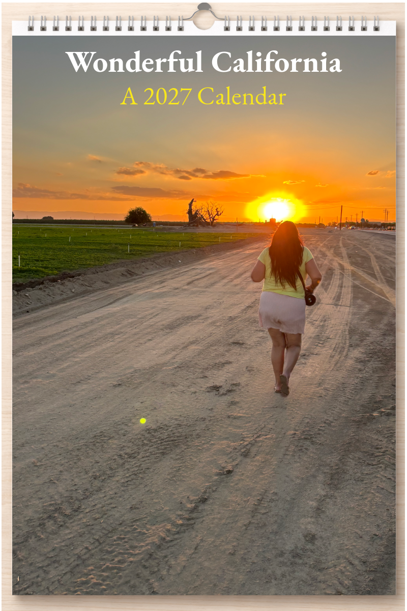 Wonderful California: A 2027 Calendar