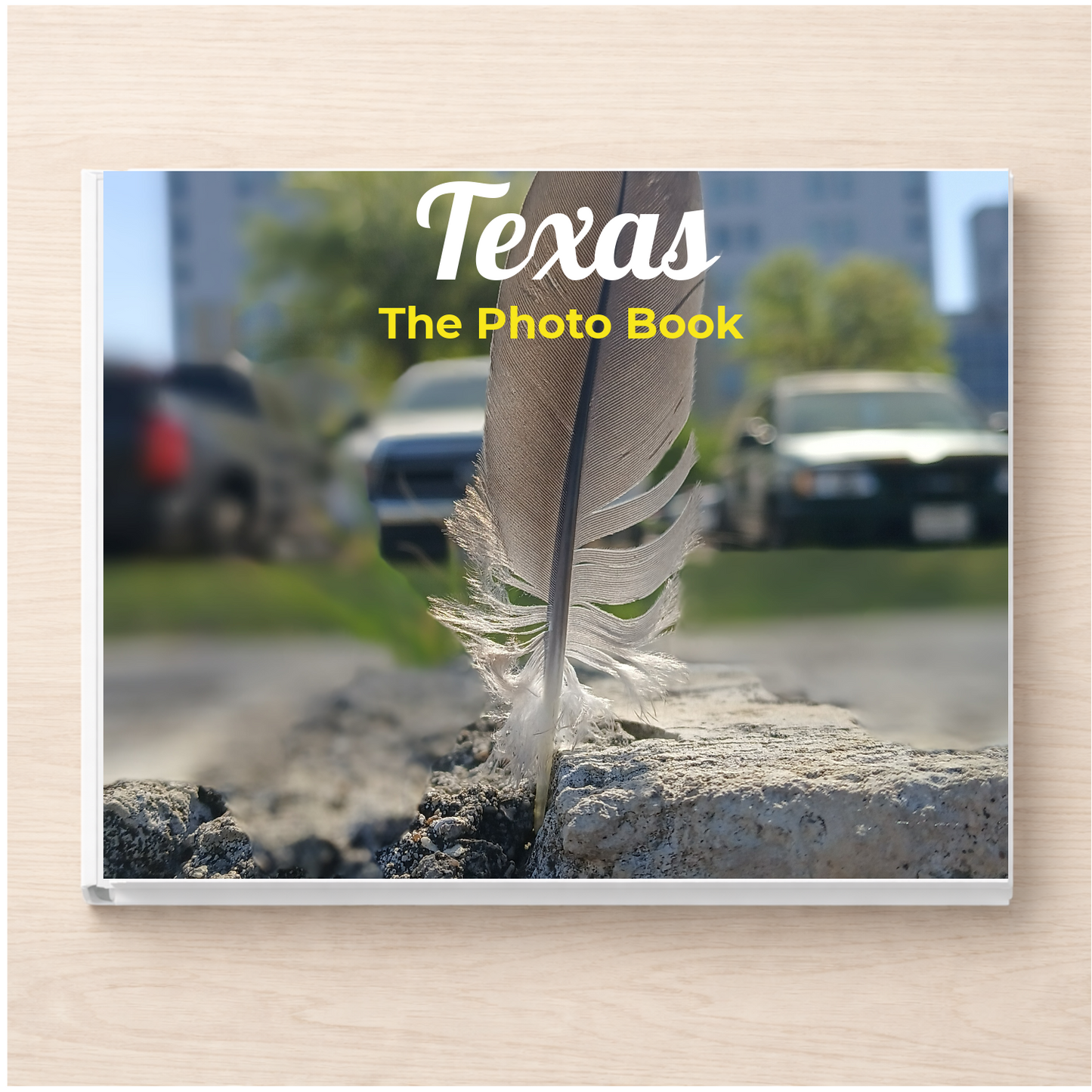 Texas: The Photo Book